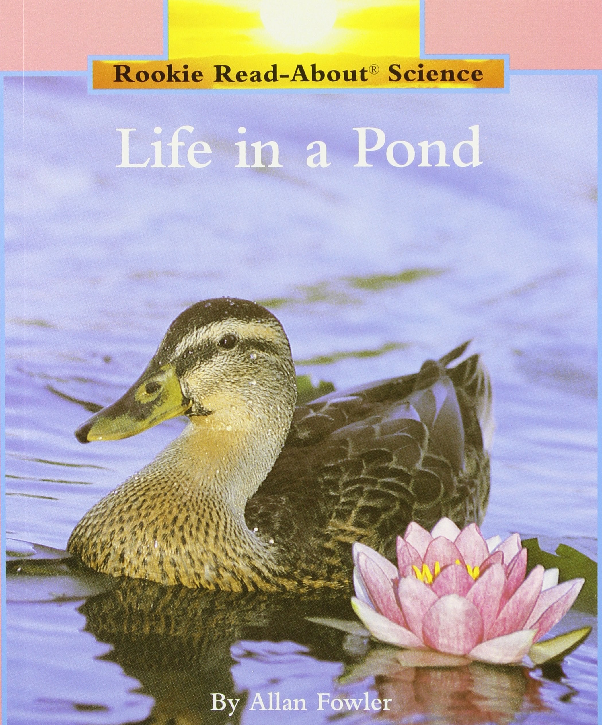 Life in a Pond (Rookie Read-About Science: Habitats and Ecosystems) Non-fiction