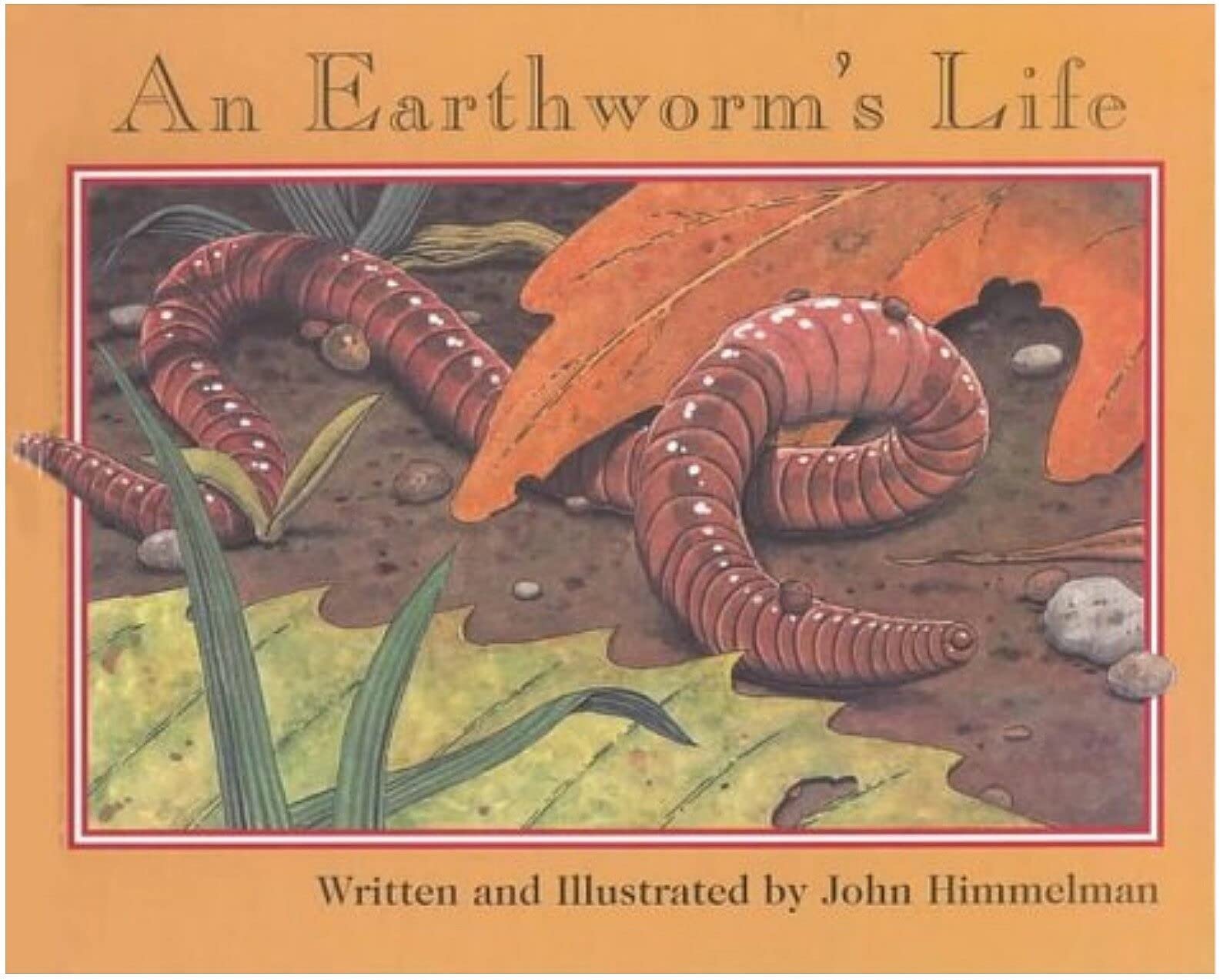 An Earthworm's Life (Nature Upclose) Non-fiction