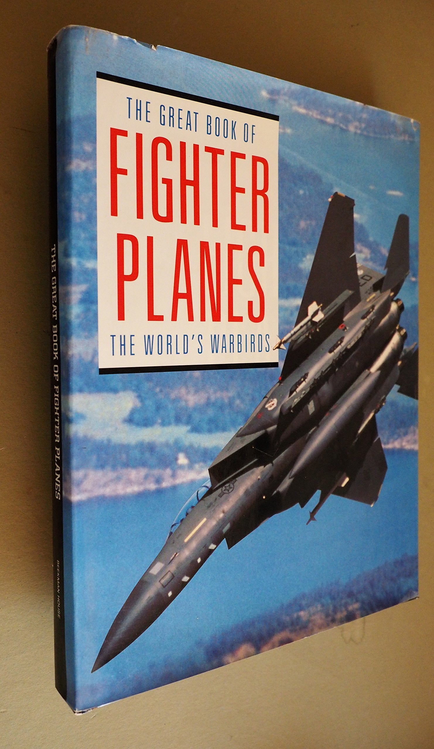 Great Book of Fighter Planes: The World's Warbirds book