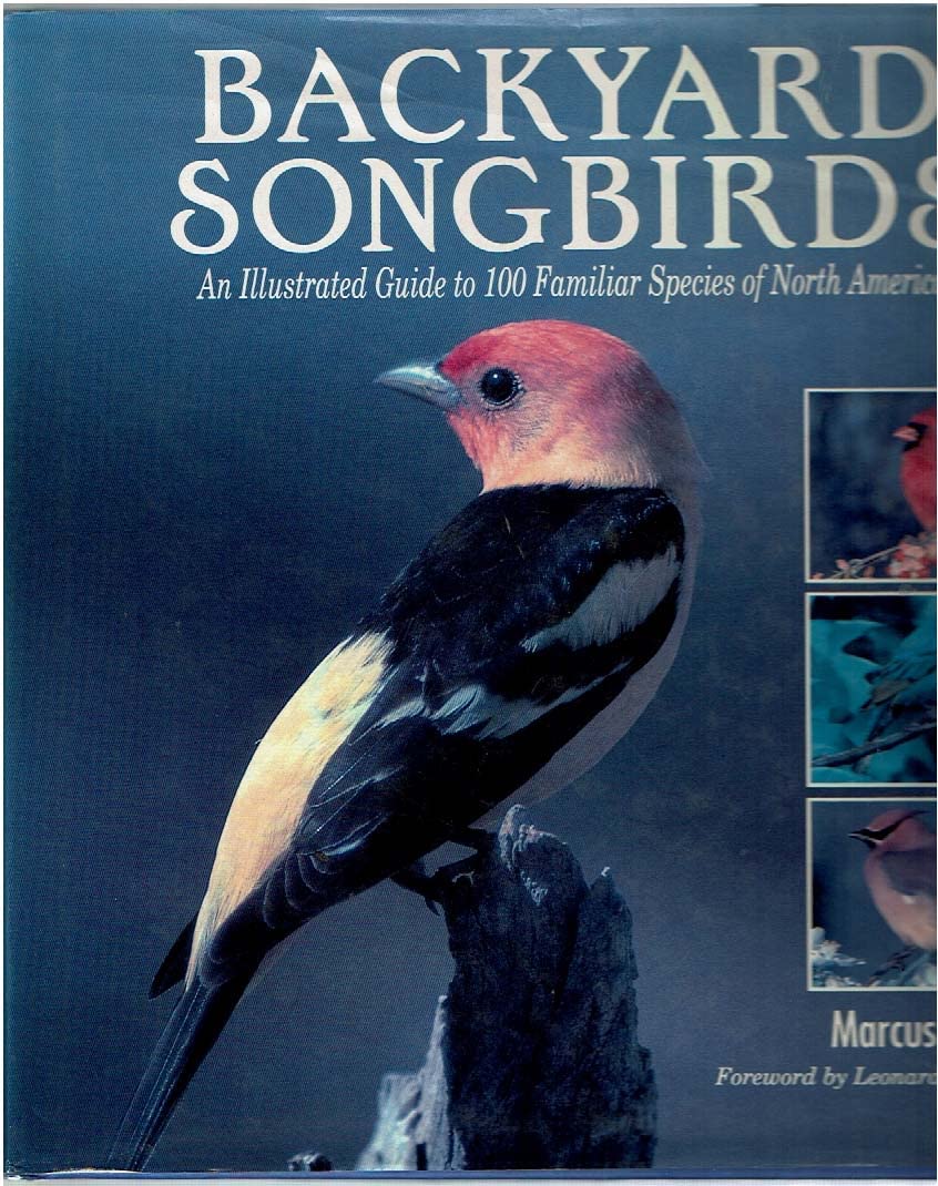 Backyard Songbirds: An Illustrated Guide to 100 Familiar Species of North America Mathematics