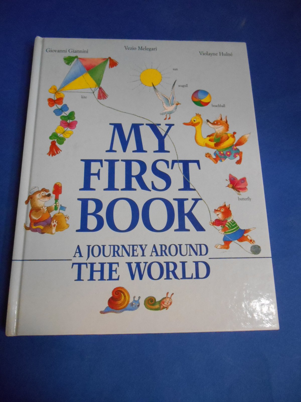 My First Book: A Journey Around the World book