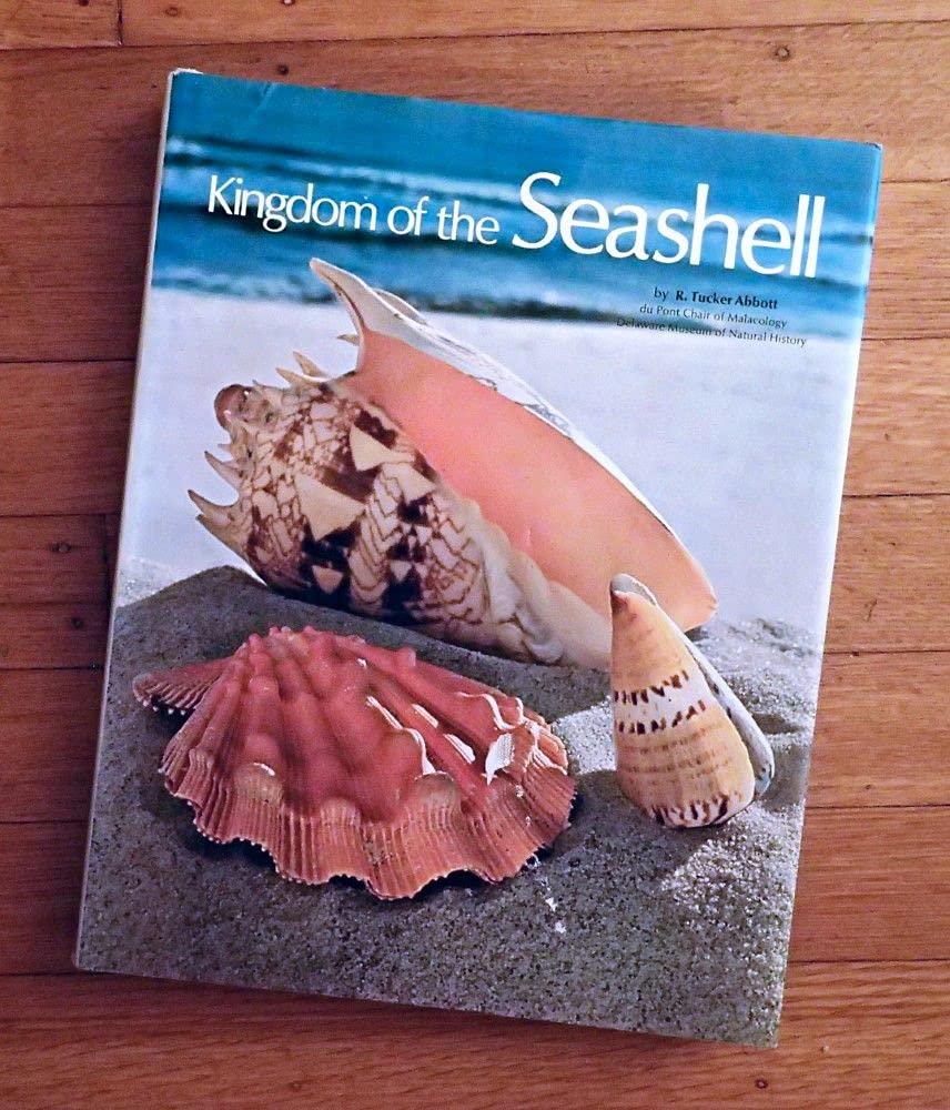 Kingdom of the Seashell Business & Technology