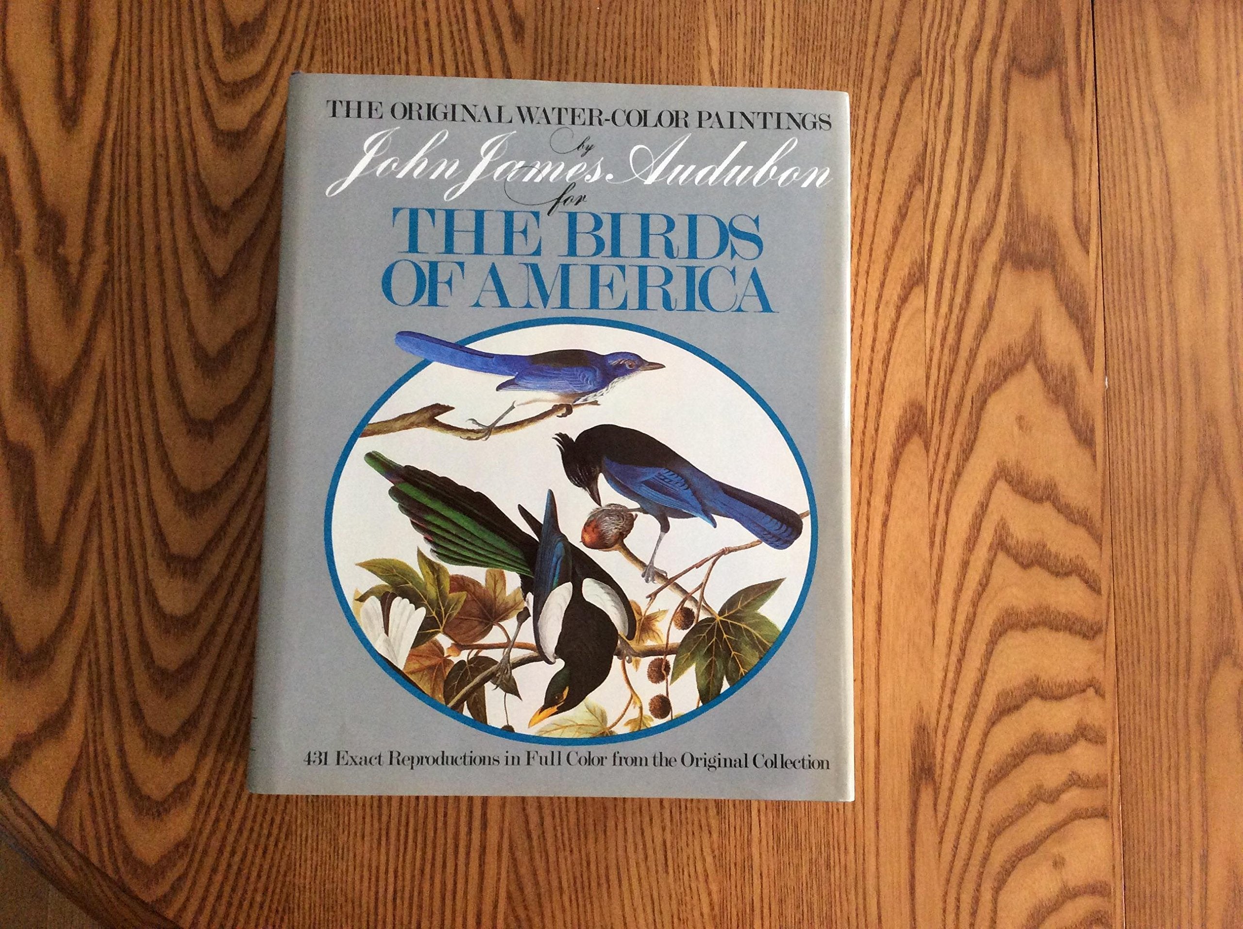 The Original Water-Color Paintings by John James Audubon for the Birds of America Business & Technology