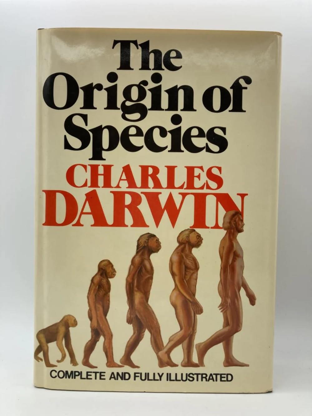Product Image: Origin Of Species