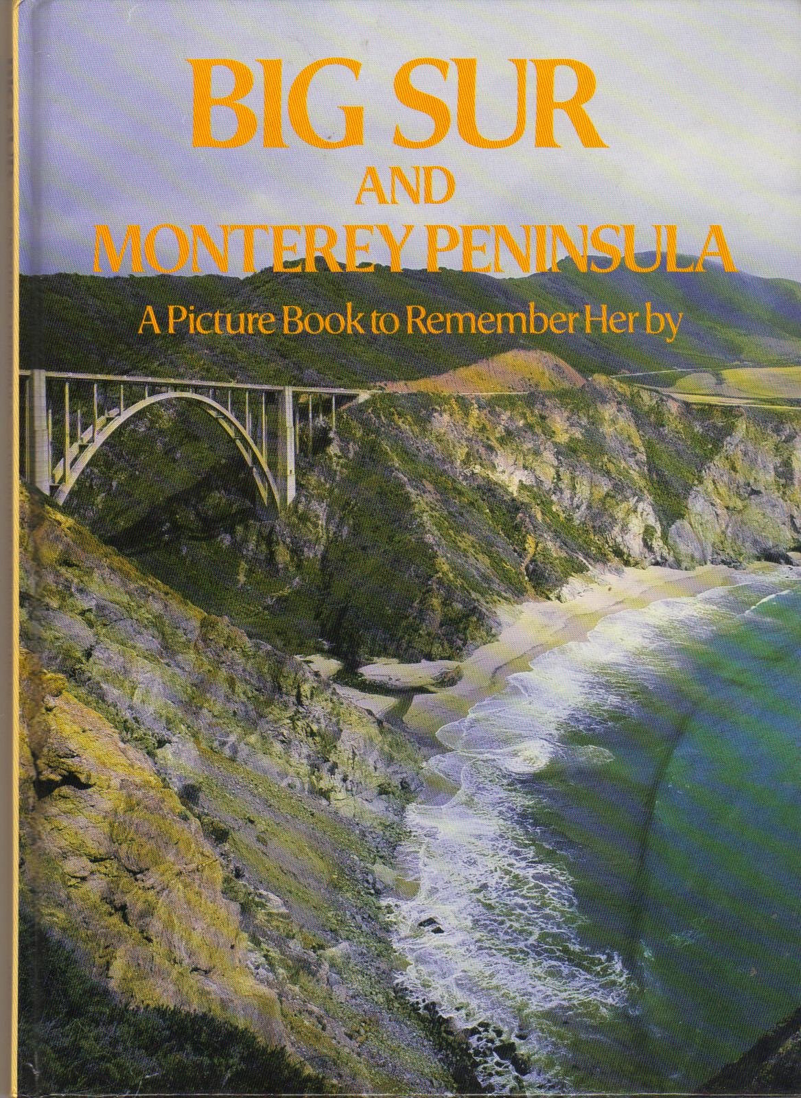 Big Sur and Monterey Peninsula: A Picture Book to Remember Her by Books