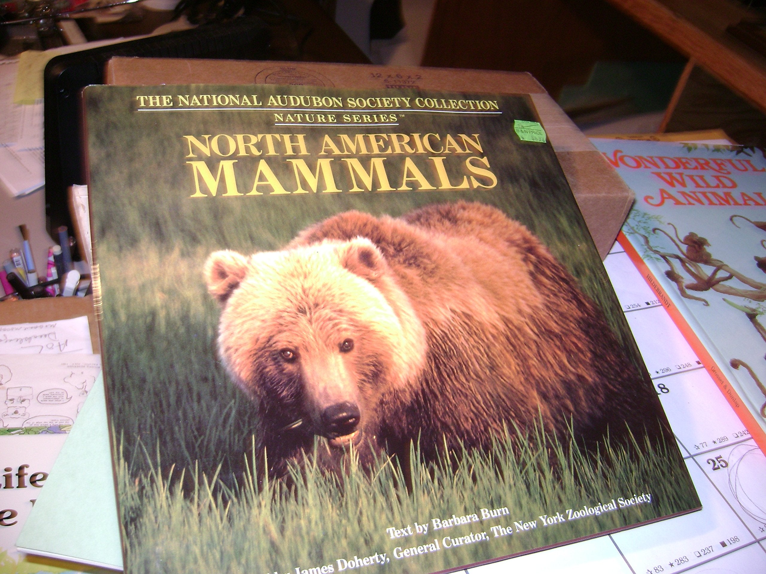 North American Mammals : National Aud Society book