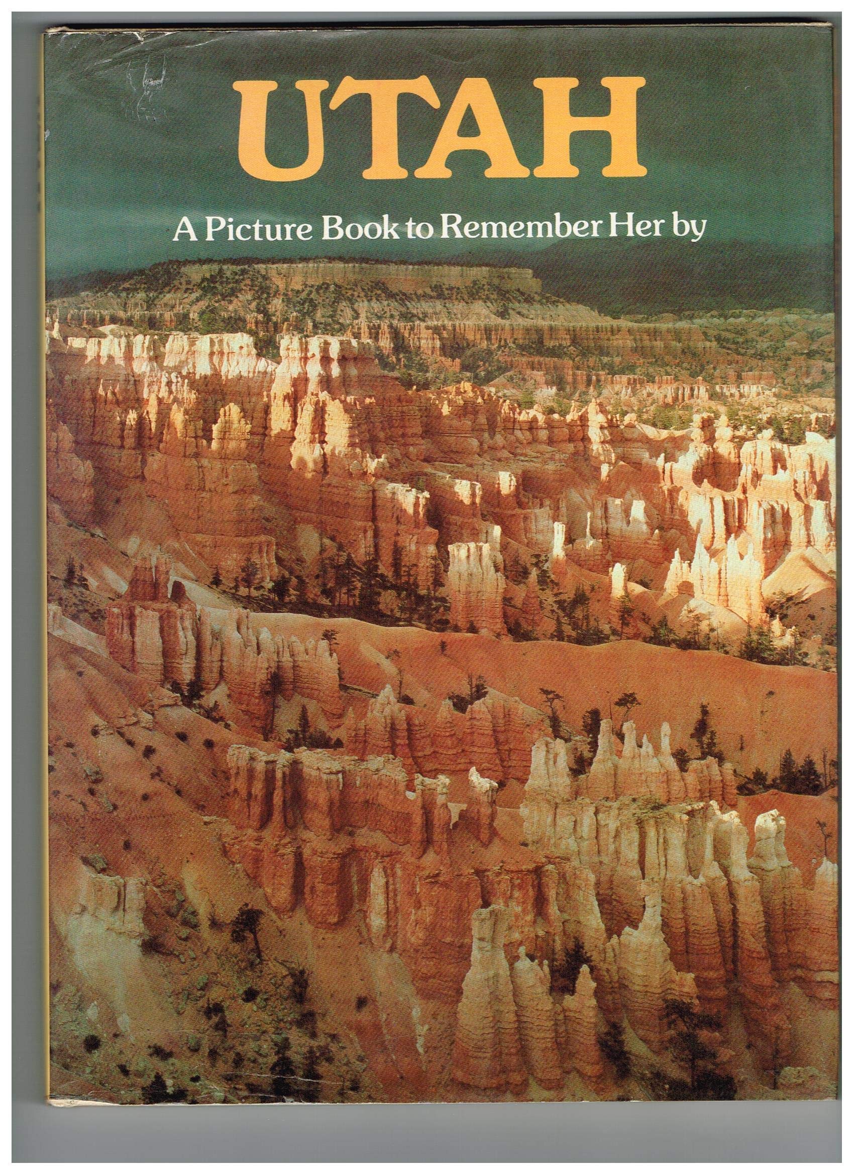 Product Image: Utah: A Picture Book to Remember Her by