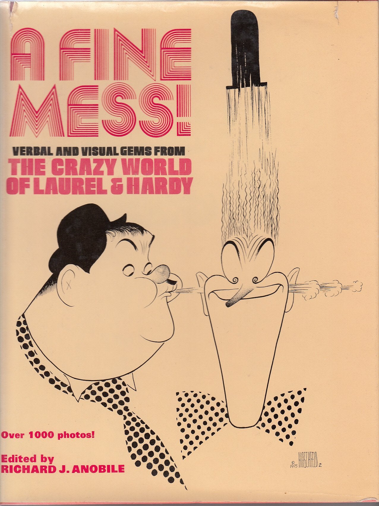 A Fine Mess Books