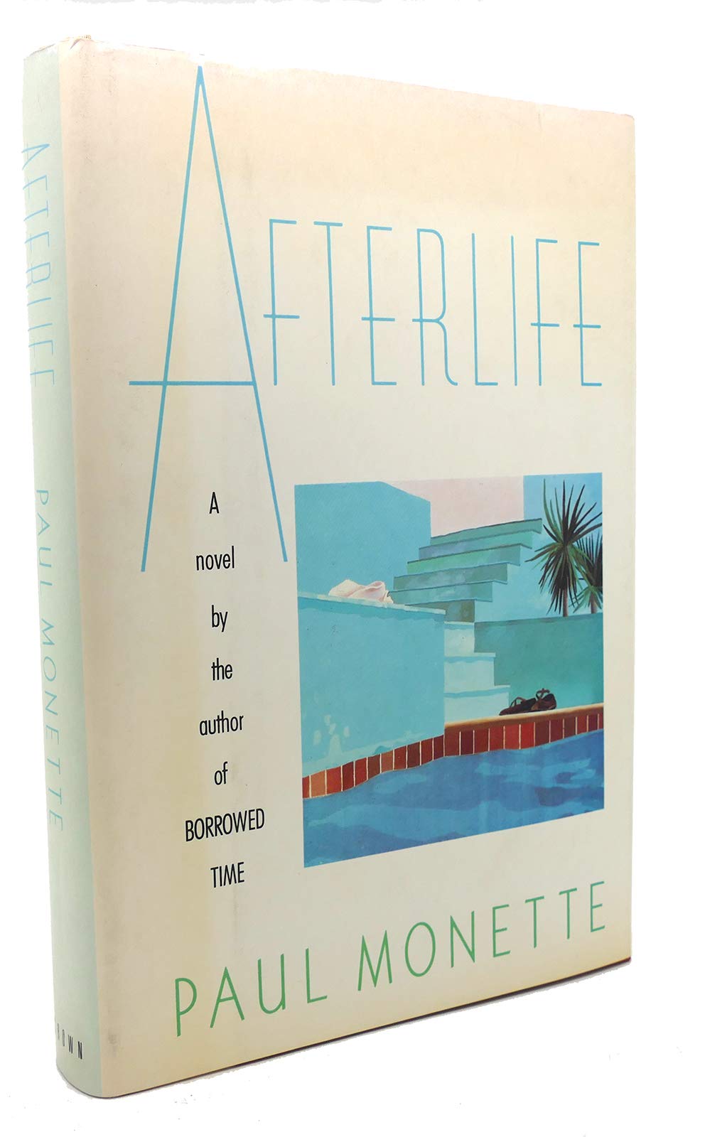 Afterlife Medicine