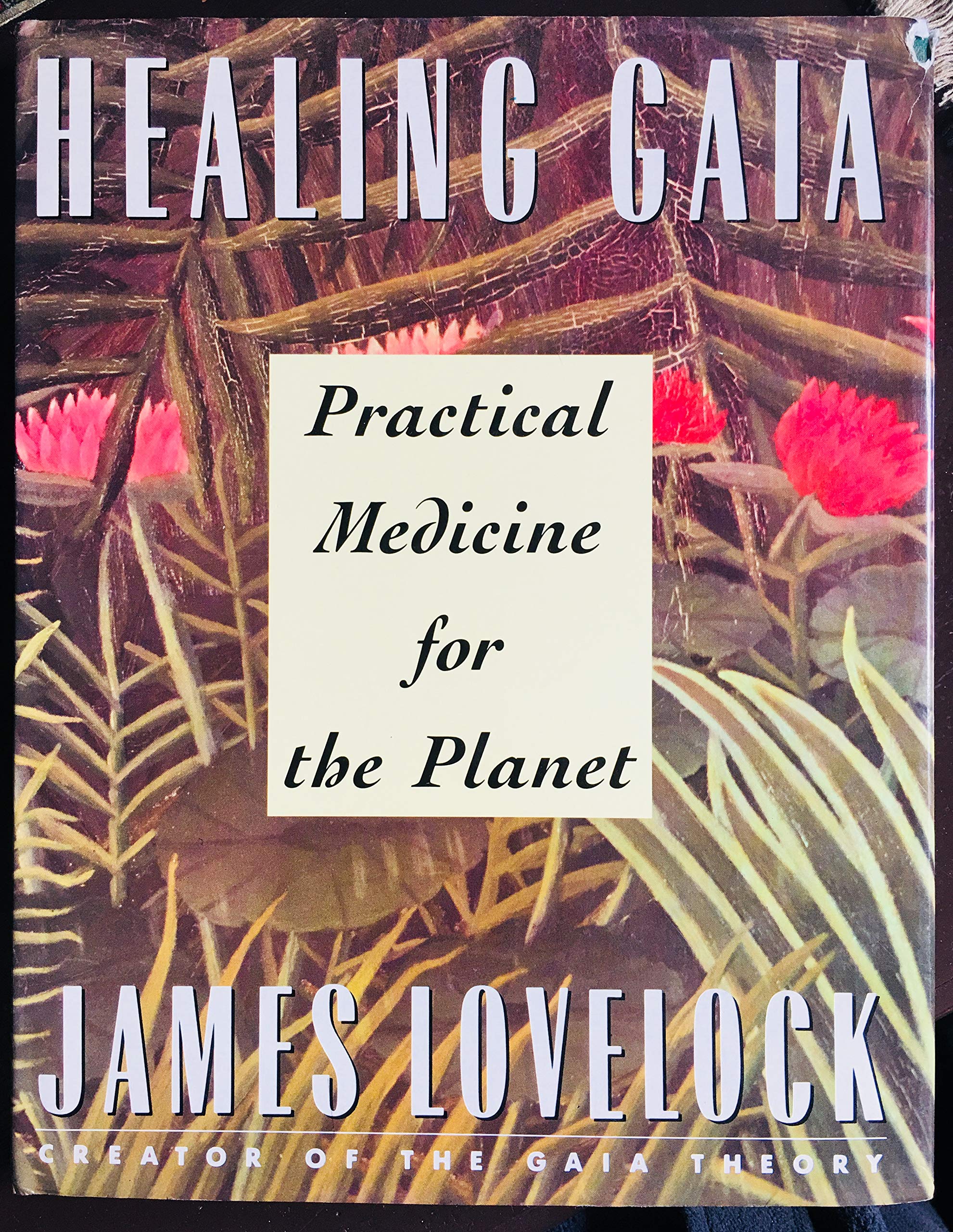 Healing Gaia: Practical Medicine for the Planet Religion & Esotericism