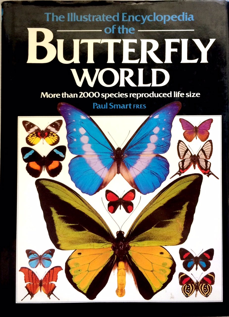 Illustrated Encyclopedia of the Butterfly Wo Business & Technology