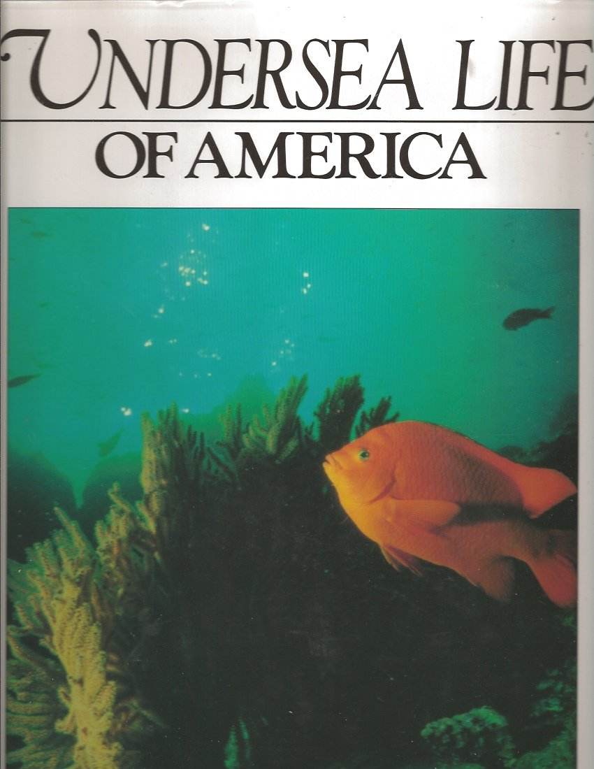 Undersea Life of America Business & Technology