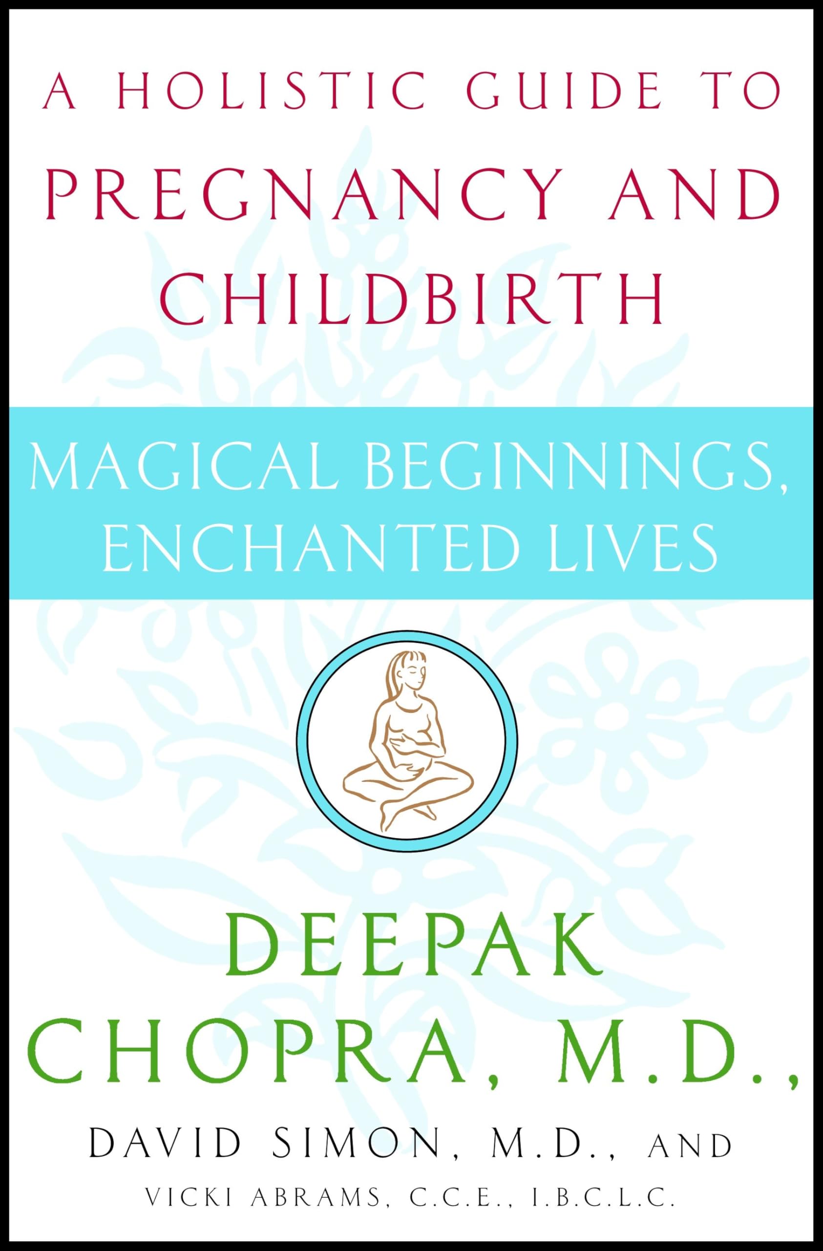 Magical Beginnings, Enchanted Lives: A Holistic Guide to Pregnancy and Childbirth Religion & Esotericism