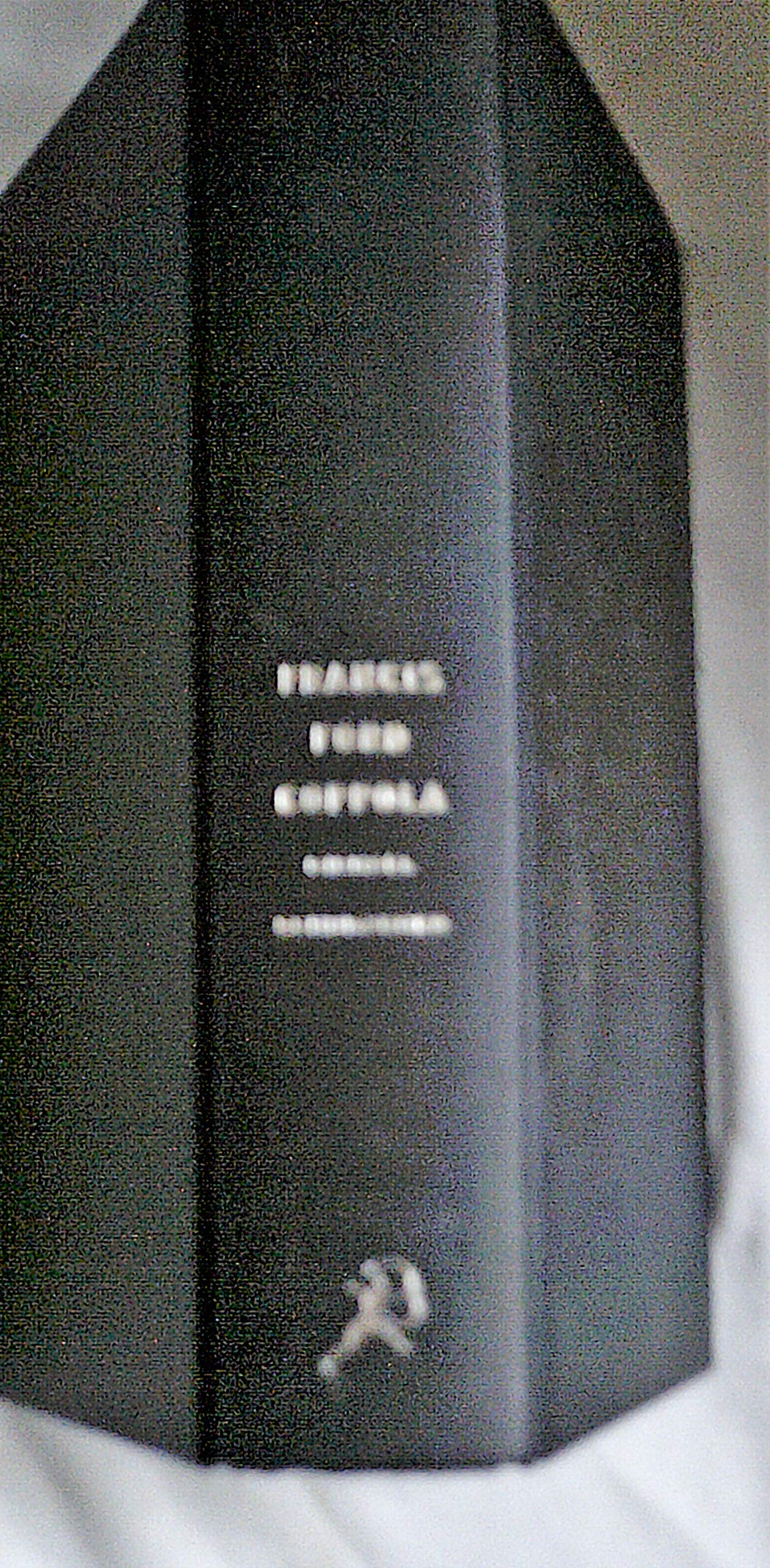 Francis Ford Coppola: A Filmaker's Life Art & Literature