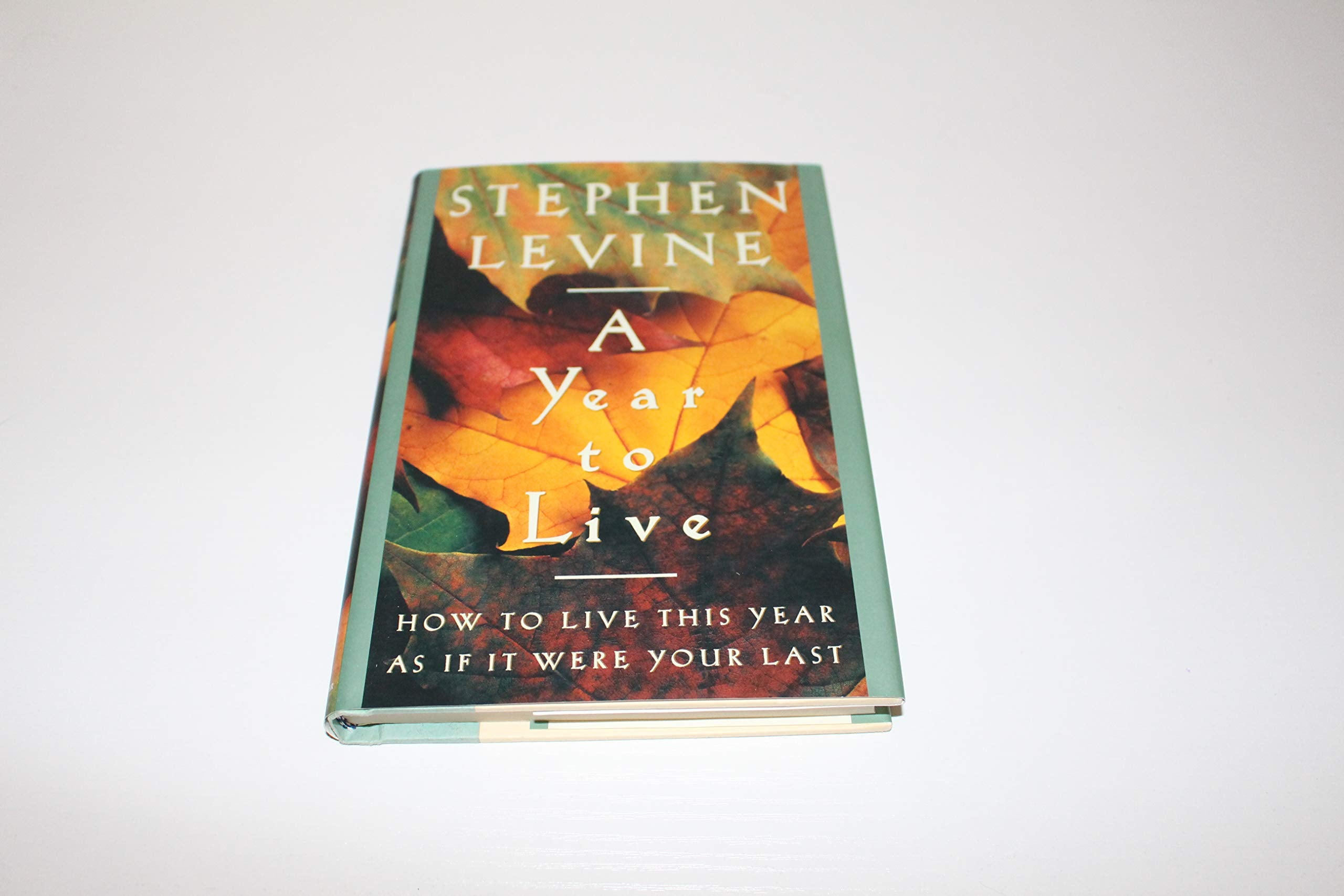 A Year to Live: How to Live This Year As If It Was Your Last Lifestyle
