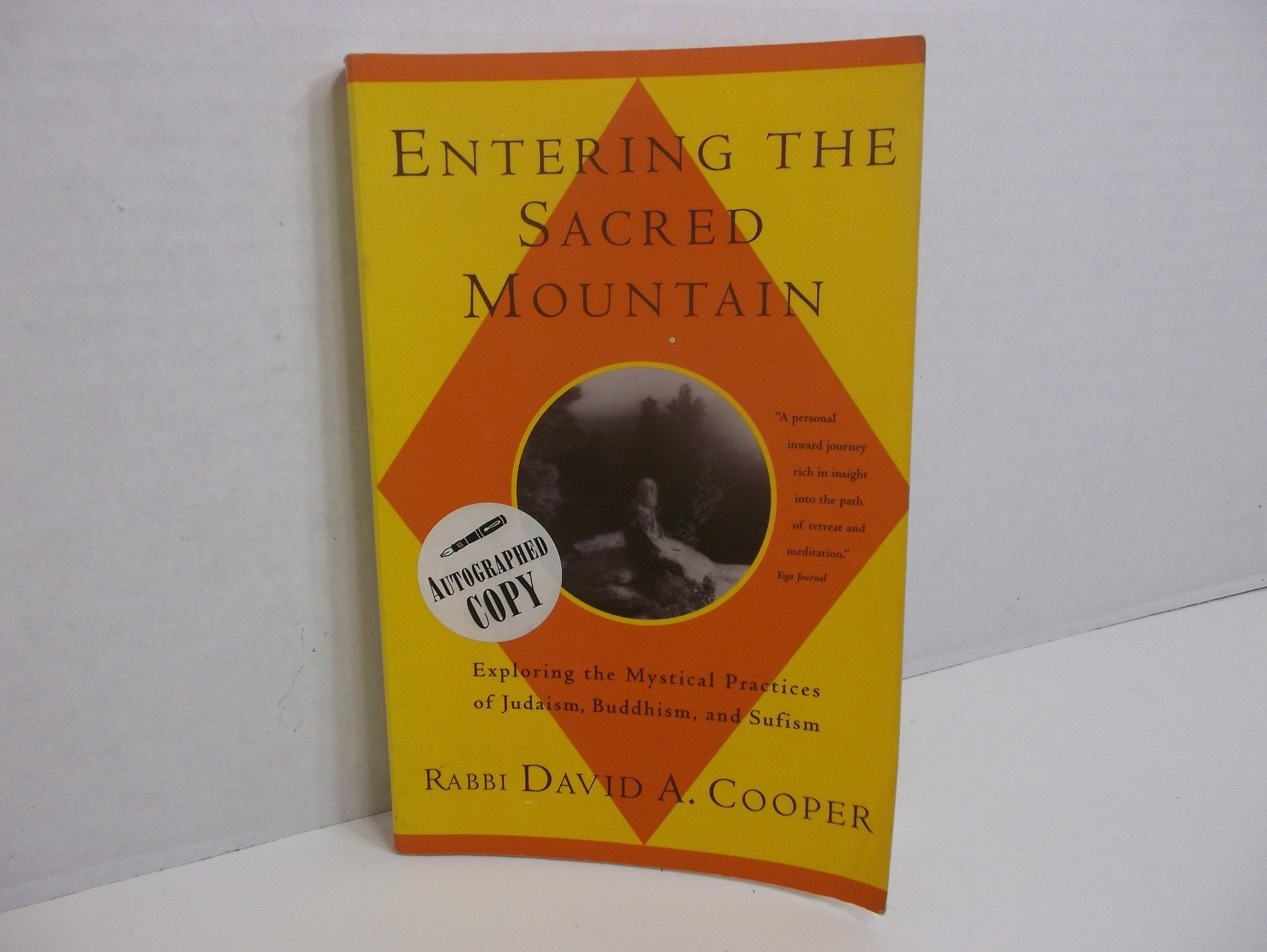 Entering the Sacred Mountain: Exploring the Mystical Practices of Judaism, Buddhism, and Sufism book