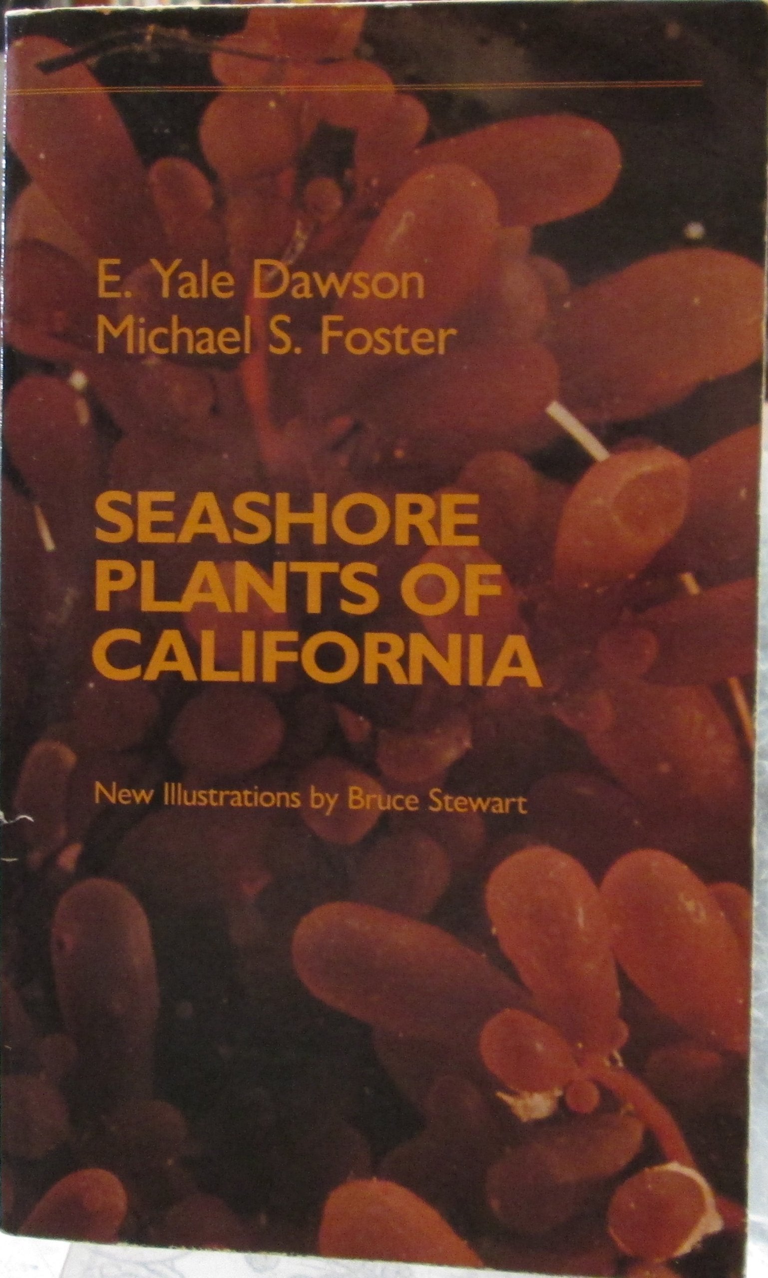 Seashore Plants of California (California Natural History Guides) Natural Sciences