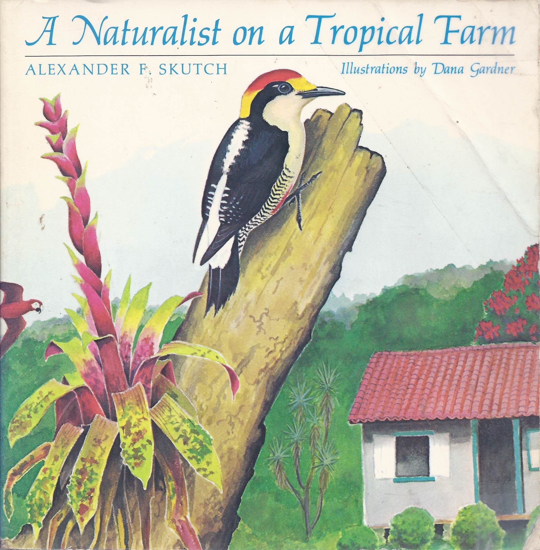 A Naturalist on a Tropical Farm Mathematics