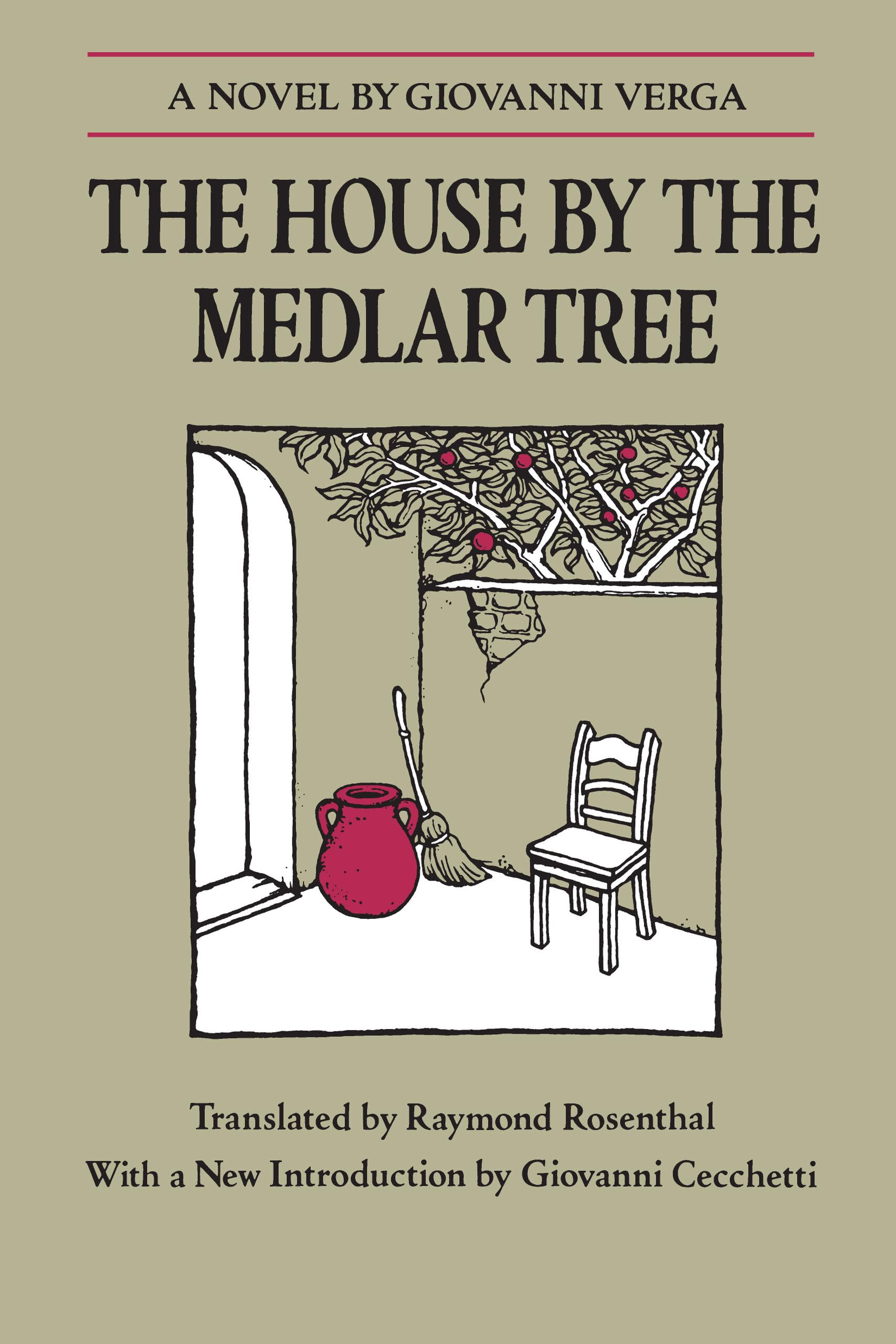 The House by the Medlar Tree book