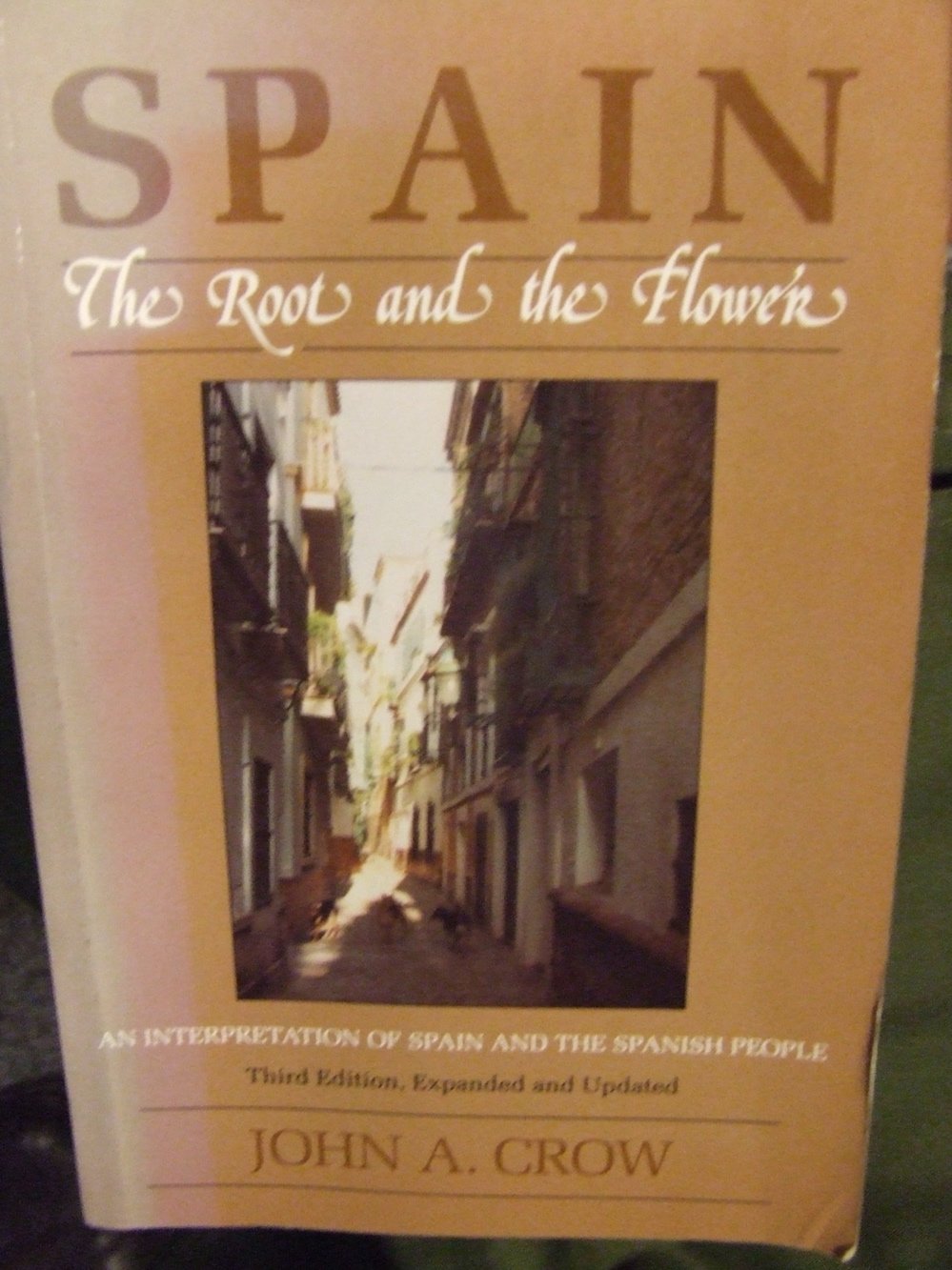 Spain: The Root and the Flower: An Interpretation of Spain and the Spanish People Politics & History