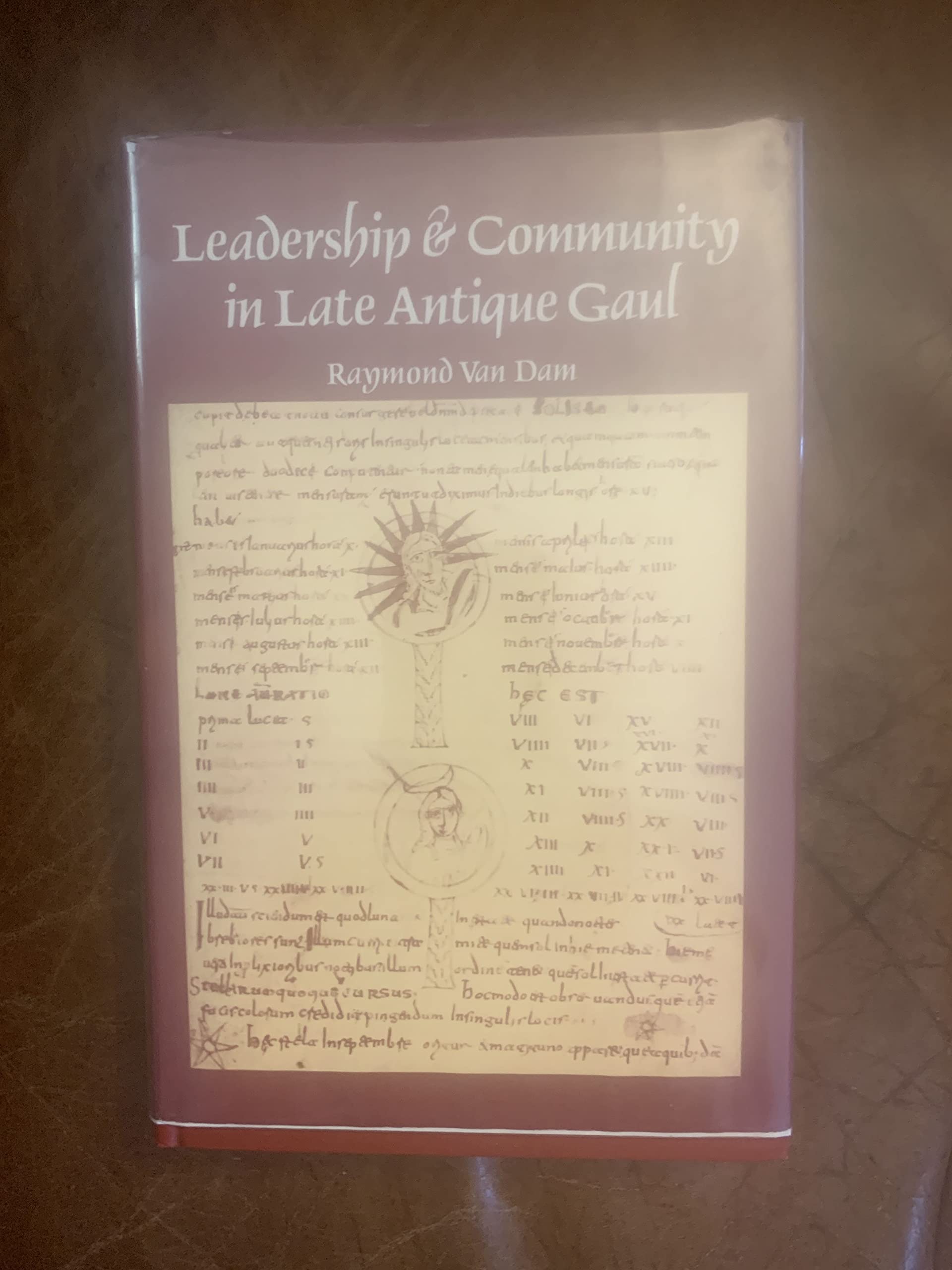 Leadership and Community in Late Antique Gaul (Transformation of the Classical Heritage, 8) Politics & History
