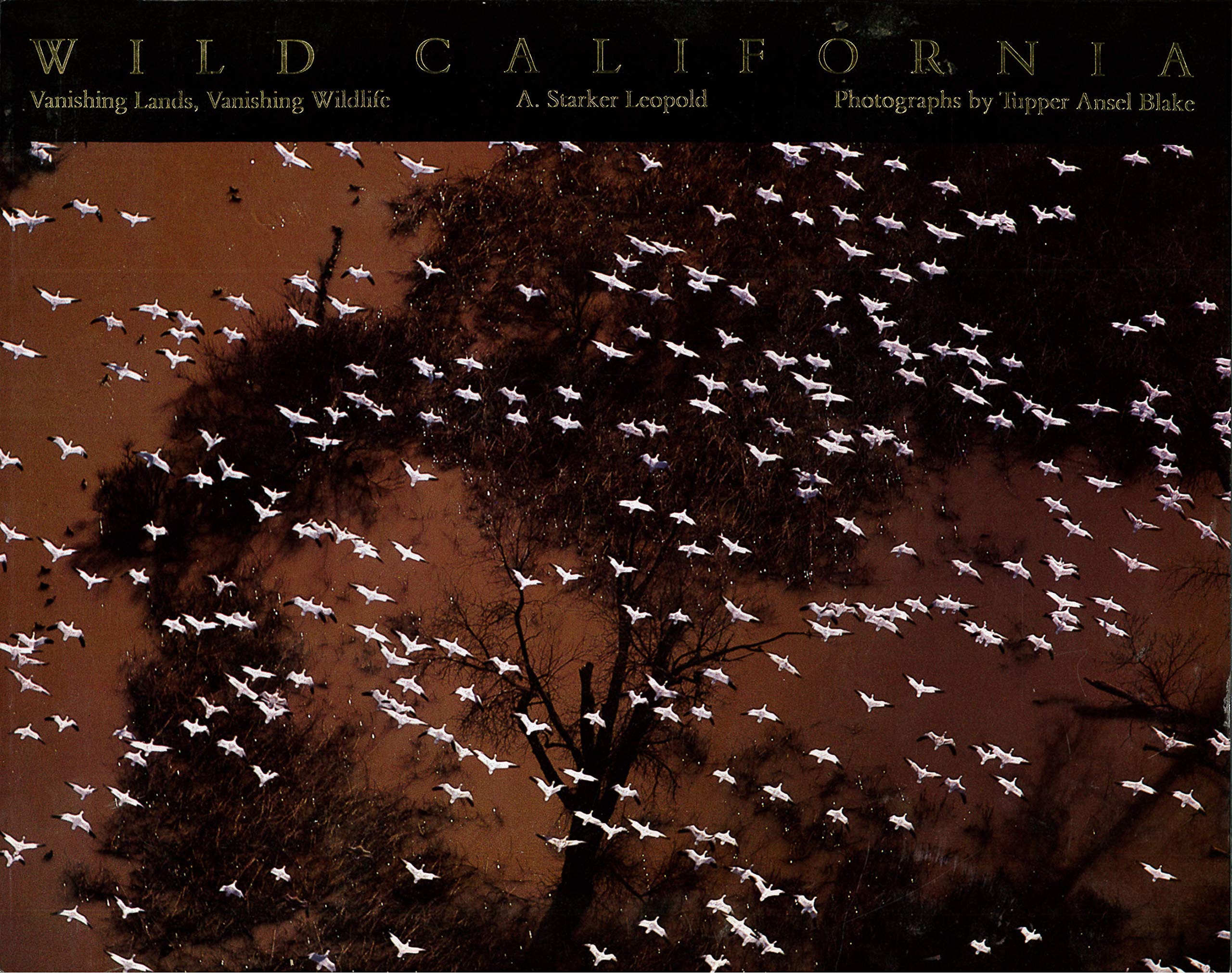 Wild California: Vanishing Lands, Vanishing Wildlife Mathematics
