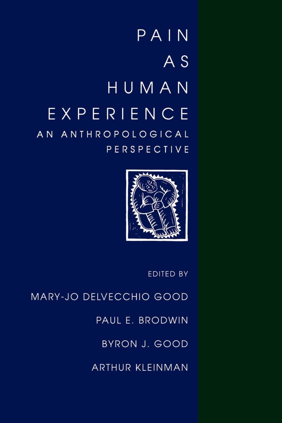 Product Image: Pain as Human Experience