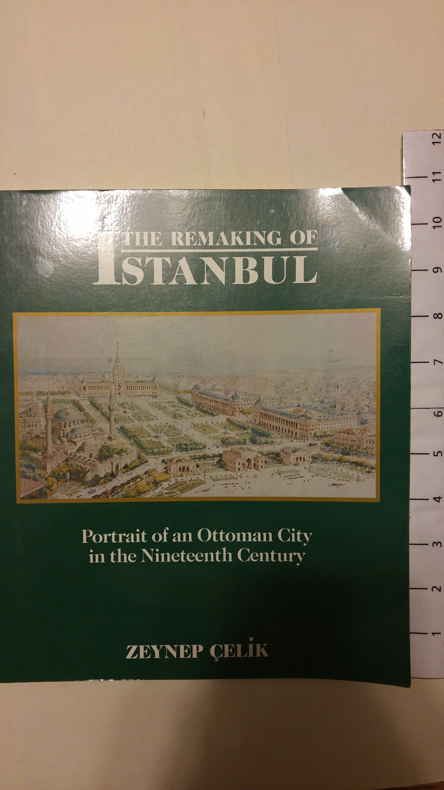 The Remaking of Istanbul: Portrait of an Ottoman City in the Nineteenth Century Social Sciences