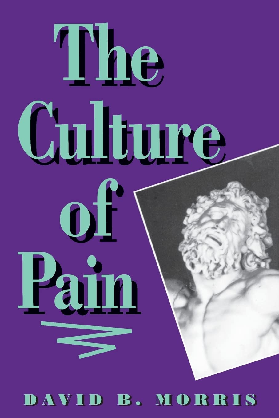 The Culture of Pain Medicine