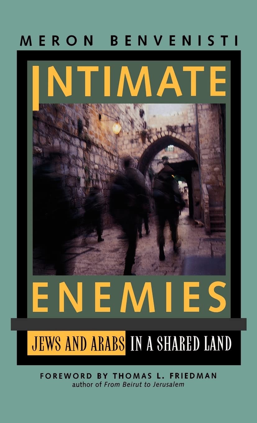 Intimate Enemies: Jews and Arabs in a Shared Land book