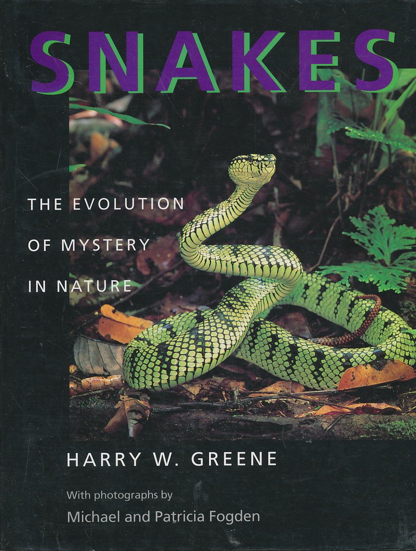 Snakes: The Evolution of Mystery in Nature Mathematics