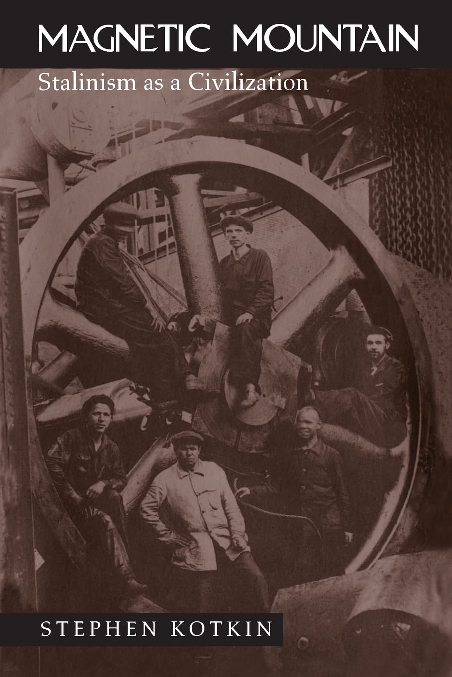 Magnetic Mountain: Stalinism As a Civilization Social Sciences