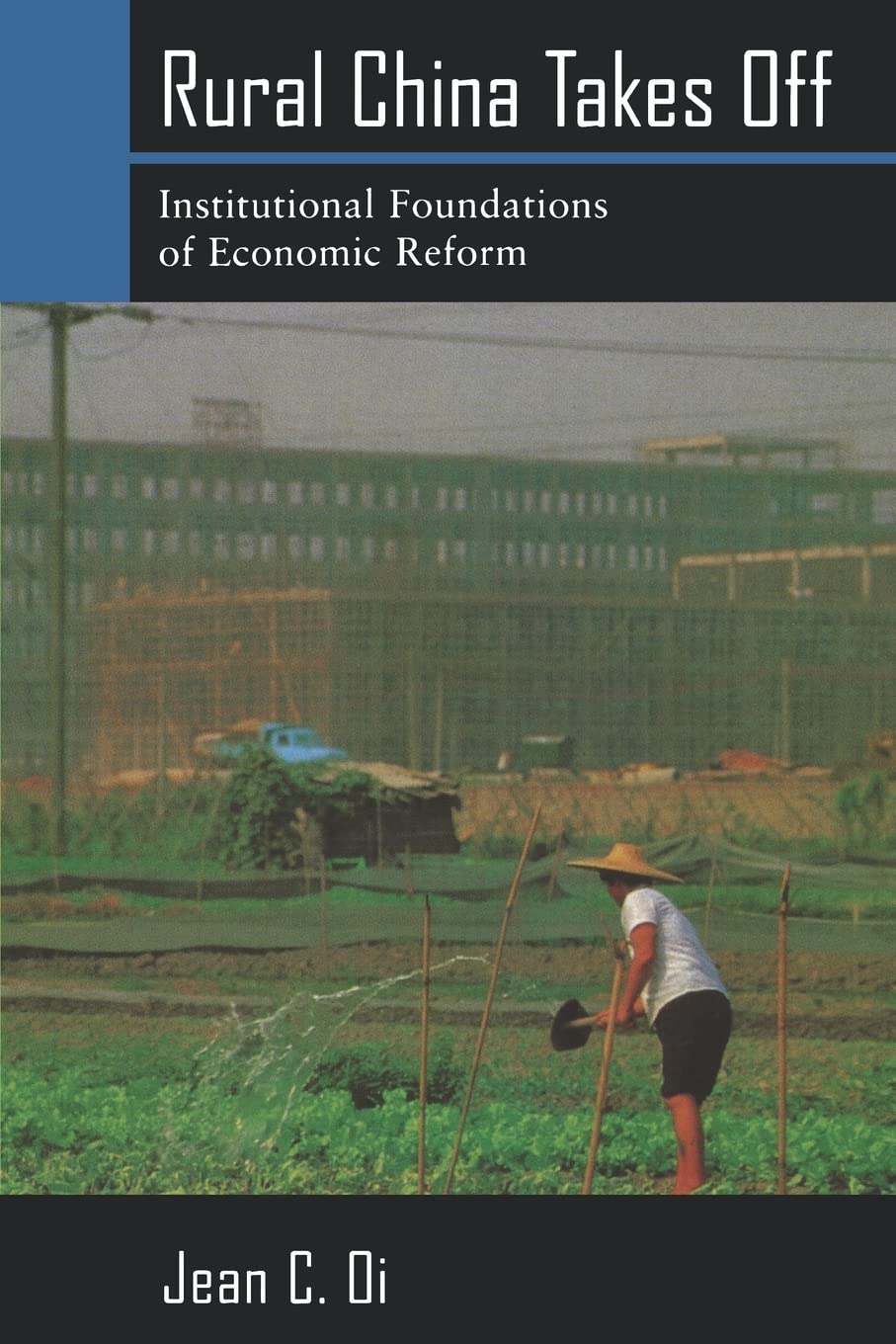 Rural China Takes Off: Institutional Foundations of Economic Reform Social Sciences