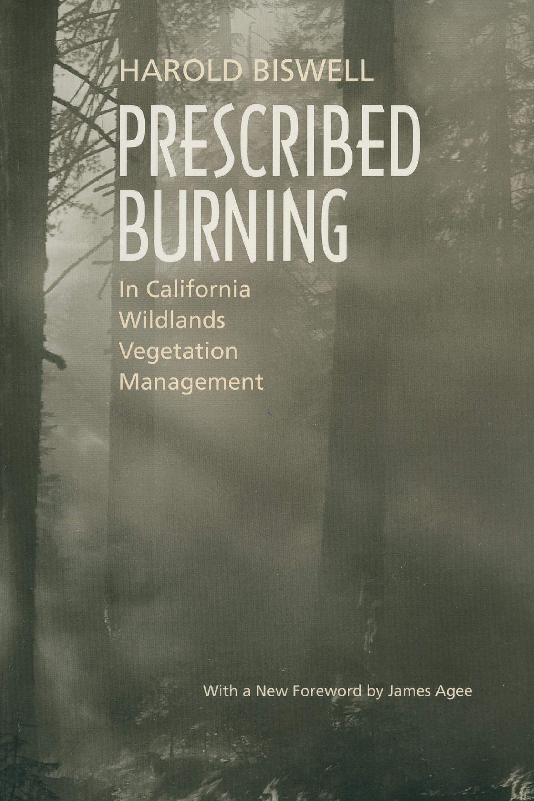 Prescribed Burning in California Wildlands Vegetation Management Business, Finance & Career