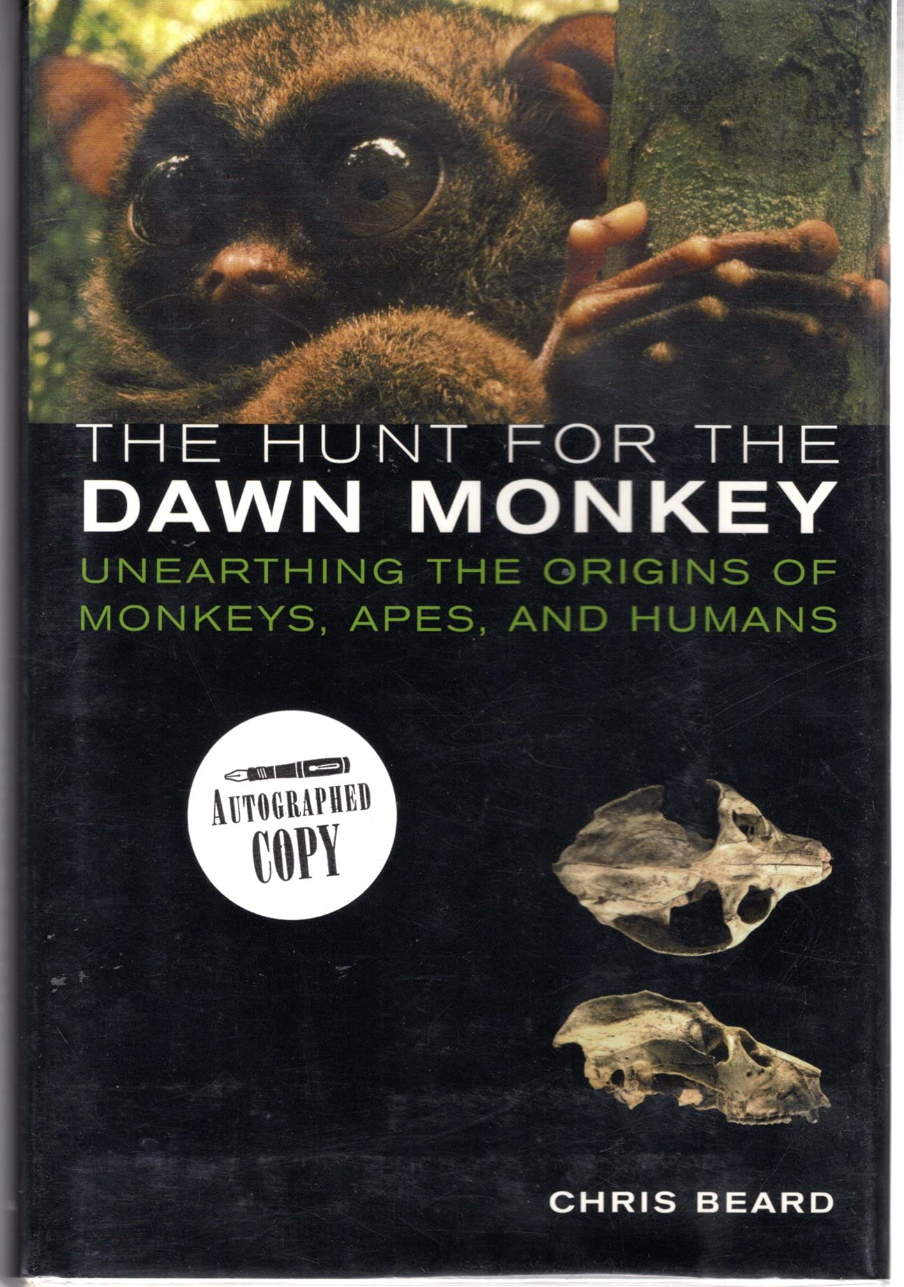 The Hunt for the Dawn Monkey: Unearthing the Origins of Monkeys, Apes, and Humans Social Sciences