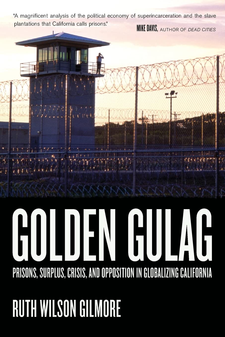 Golden Gulag: Prisons, Surplus, Crisis, and Opposition in Globalizing California (American Crossroads, 21, Band 21) Law