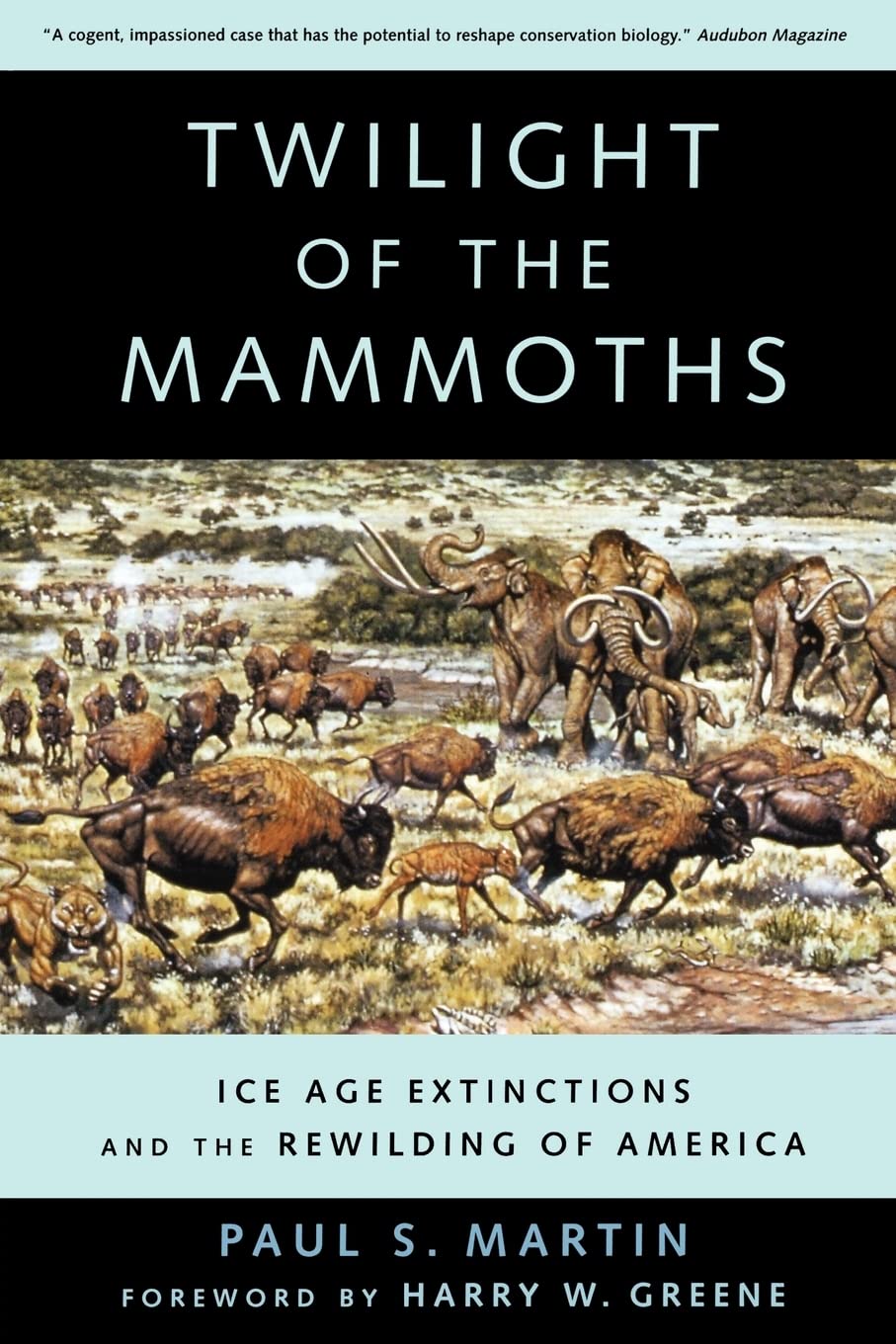Martin, P: Twilight of the Mammoths - Ice Age Extinctions an Books