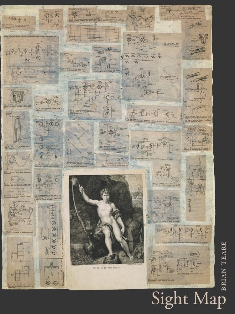 Sight Map: Poems (New California Poetry, Band 26) Poetry