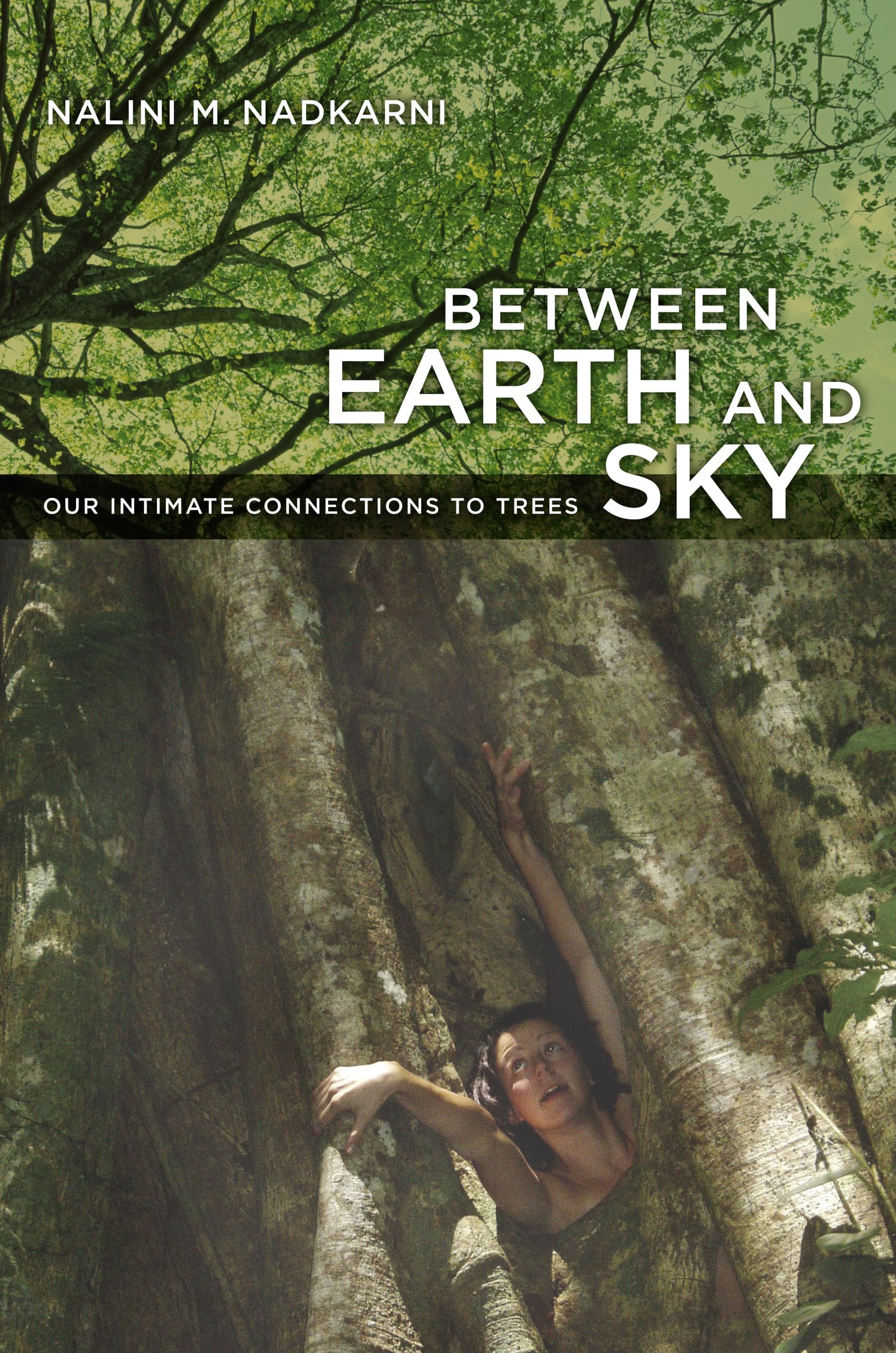 Between Earth and Sky: Our Intimate Connections to Trees Mathematics