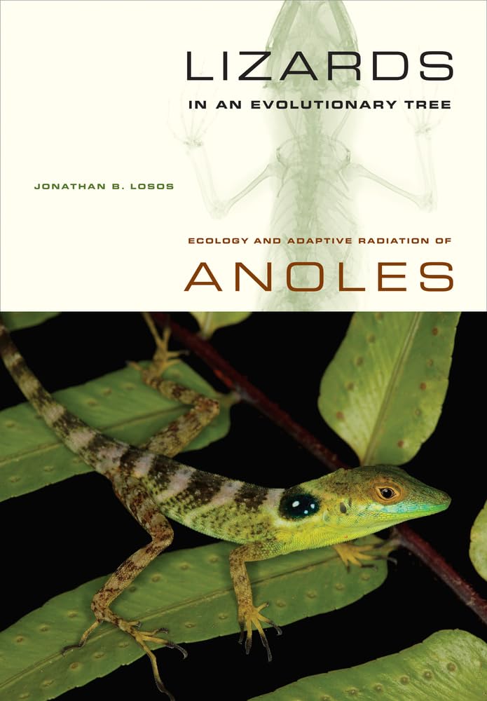 Lizards in an Evolutionary Tree: Ecology and Adaptive Radiation of Anoles: Ecology and Adaptive Radiation of Anoles Volume 10 (Organisms and Environments, Band 10) Mathematics