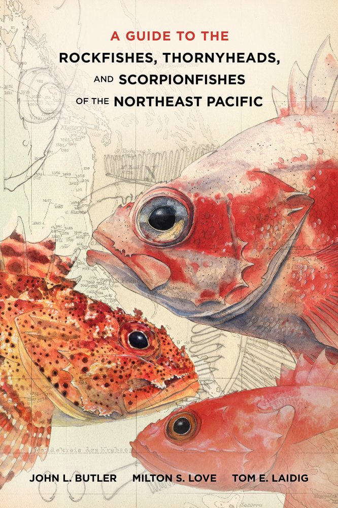 A Guide to the Rockfishes, Thornyheads, and Scorpionfishes of the Northeast Pacific Natural Sciences