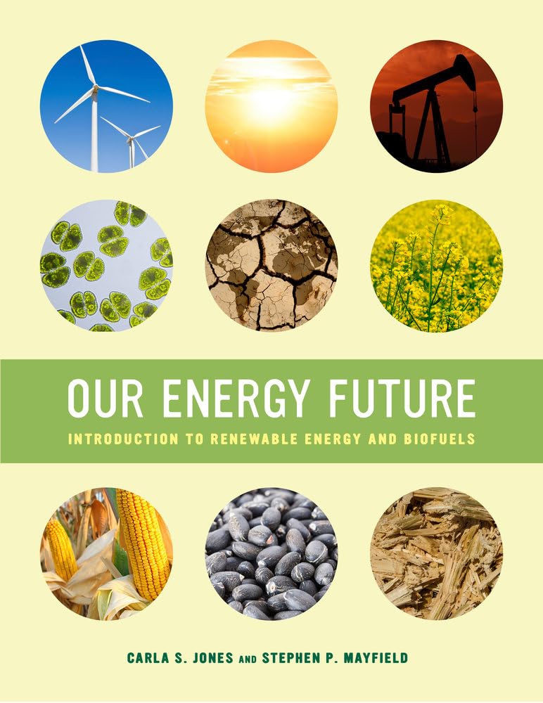 Our Energy Future: Introduction to Renewable Energy and Biofuels Business & Technology