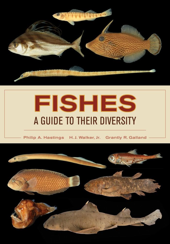 Fishes: A Guide to Their Diversity Mathematics