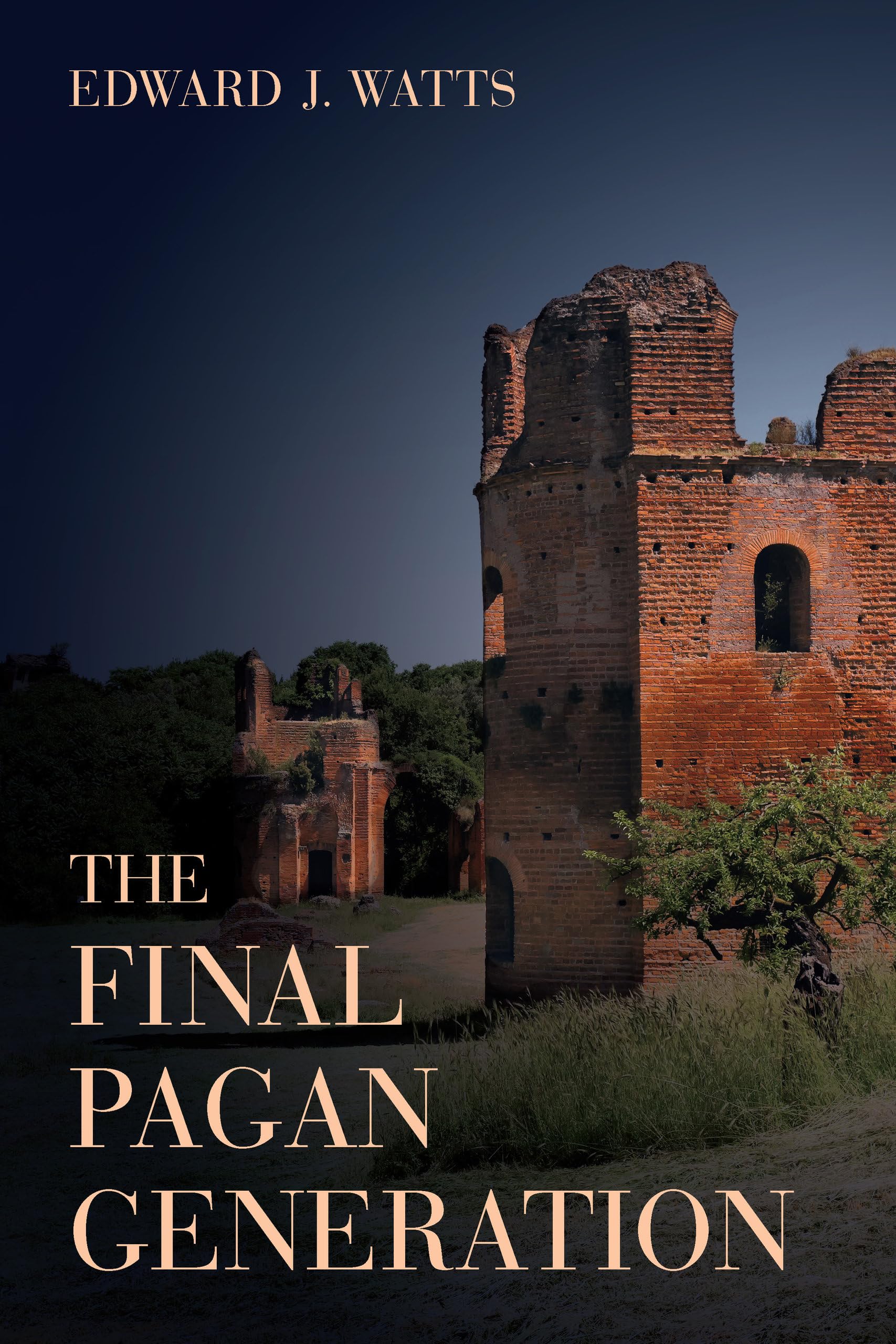 Final Pagan Generation: Rome's Unexpected Path to Christianity: Rome's Unexpected Path to Christianity Volume 53 (Transformation of the Classical Heritage, 53, Band 53) Politics & History