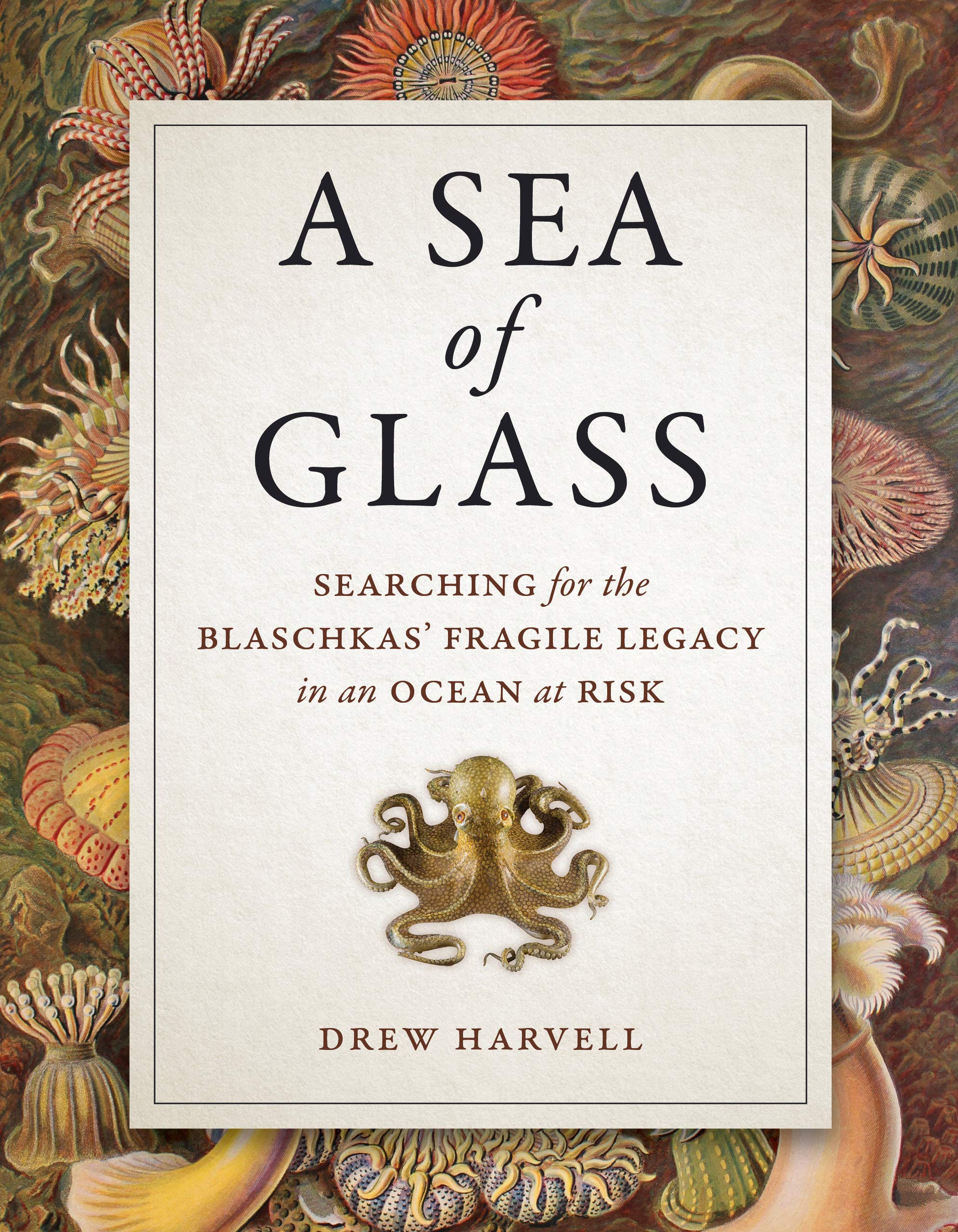 A Sea of Glass: Searching for the Blaschkas' Fragile Legacy in an Ocean at Risk book