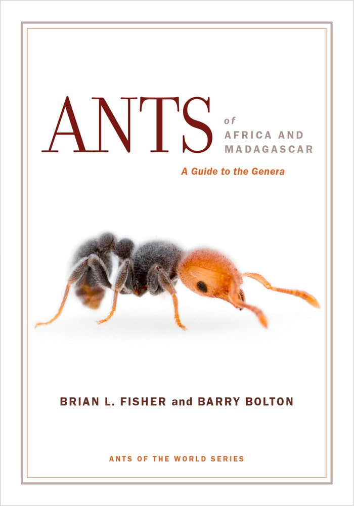 Fisher, B: Ants of Africa and Madagascar Mathematics