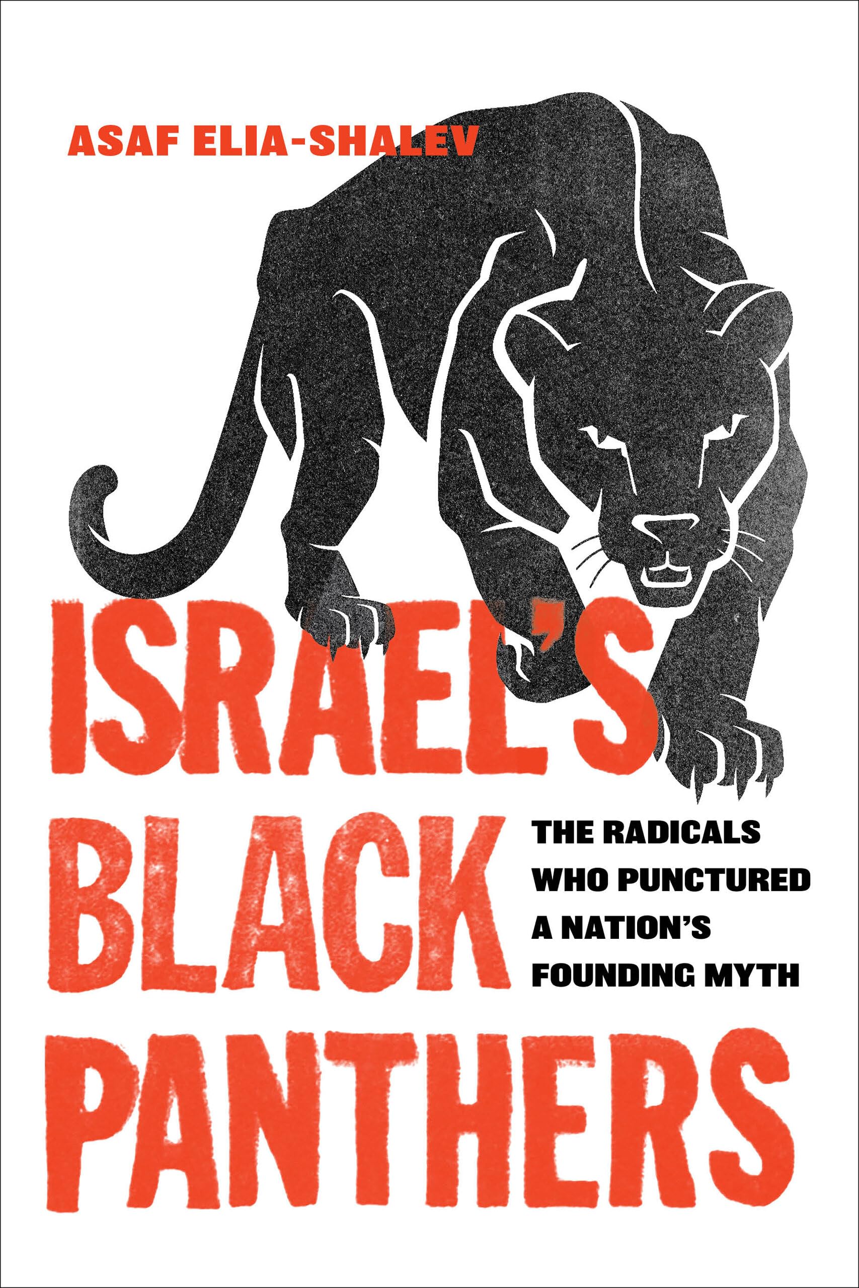 Israel's Black Panthers: The Radicals Who Punctured a Nation's Founding Myth Social Sciences