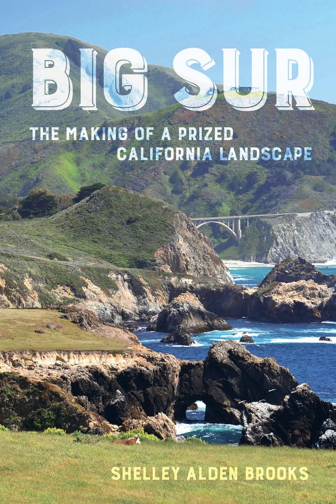 Big Sur: The Making of a Prized California Landscape Business, Finance & Career