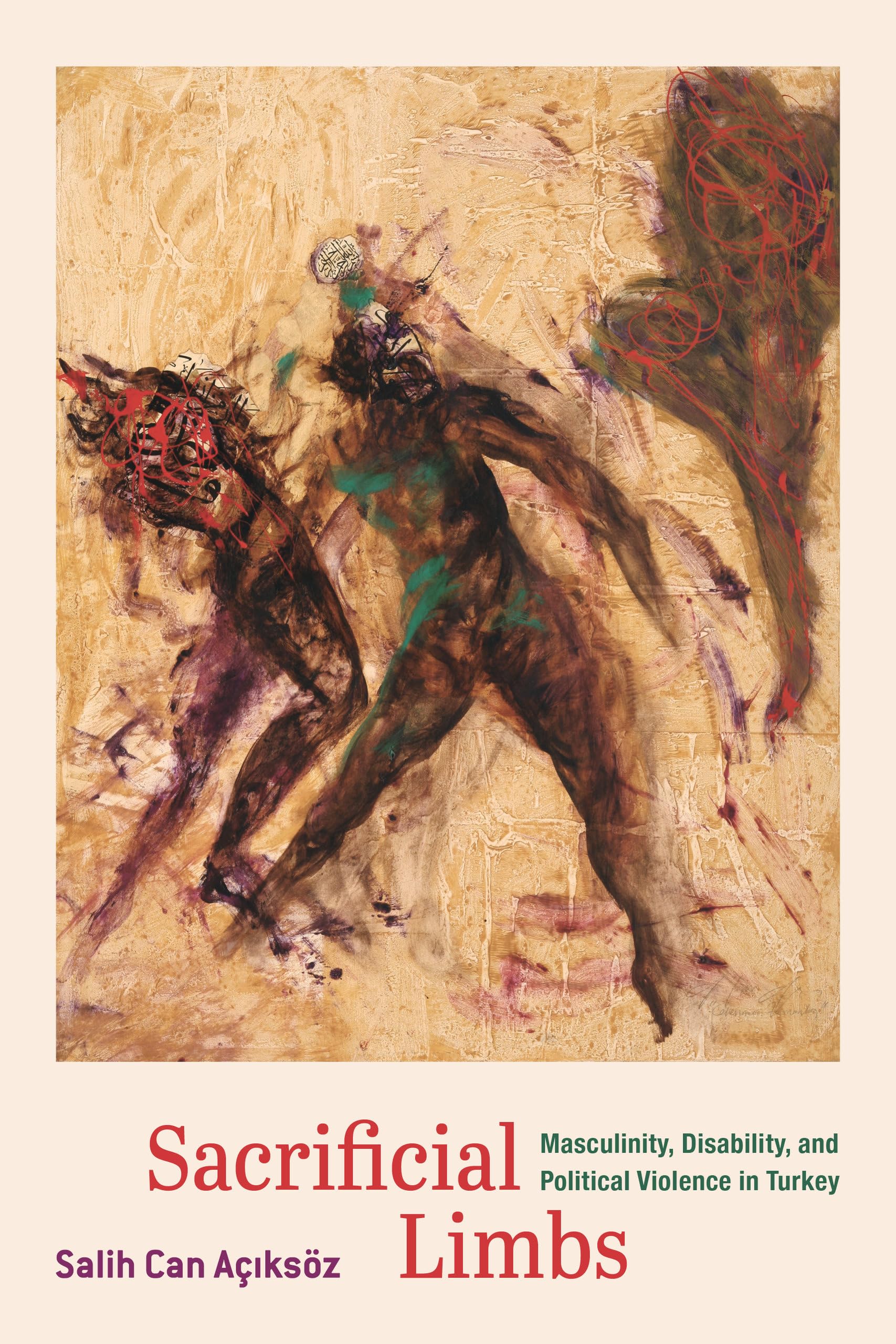 Sacrificial Limbs: Masculinity, Disability, and Political Violence in Turkey Books