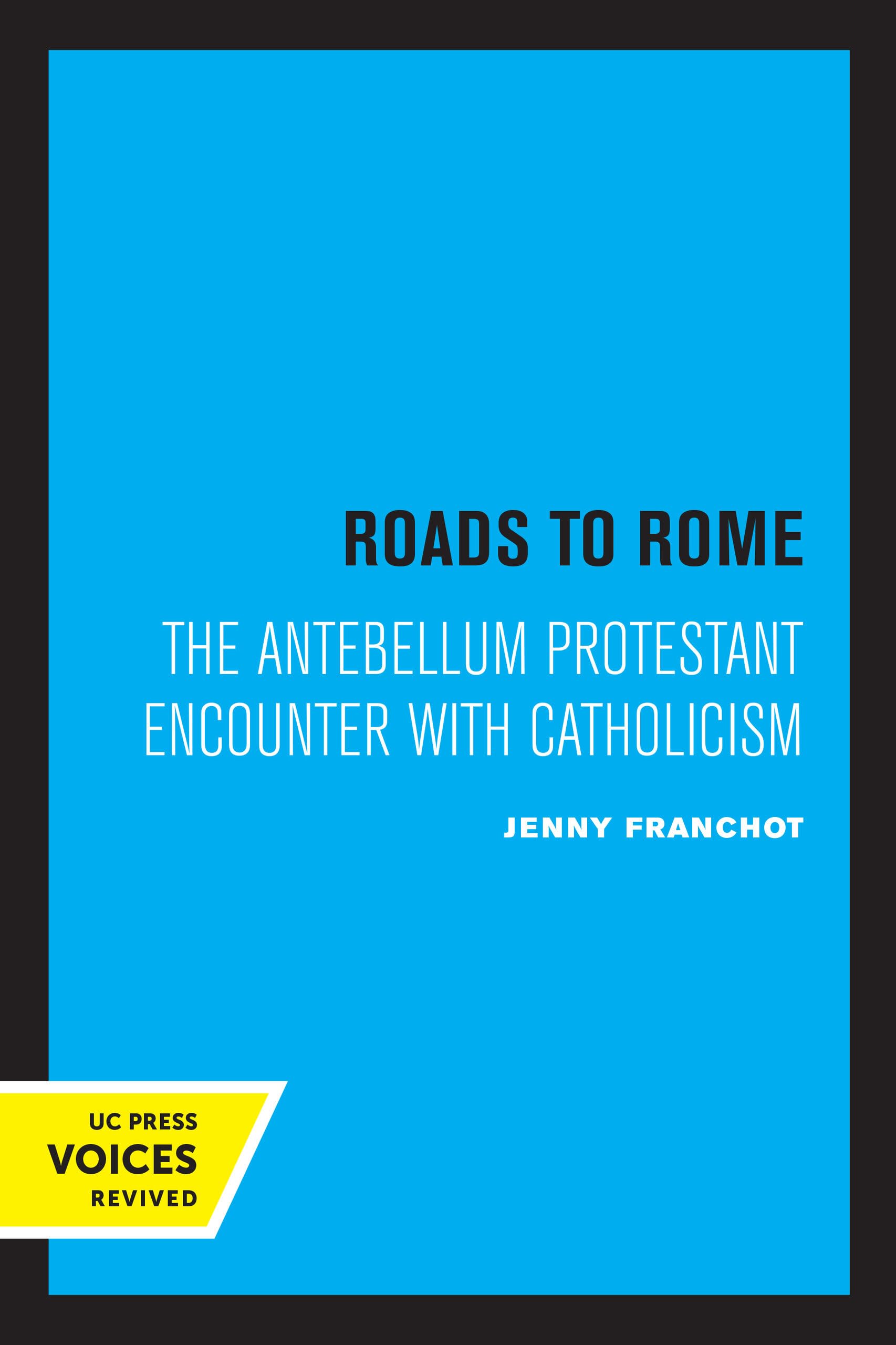 Roads to Rome: The Antebellum Protestant Encounter with Catholicism (New Historicism: Studies in Cultural Poetics, 28, Band 28) Religion & Esotericism